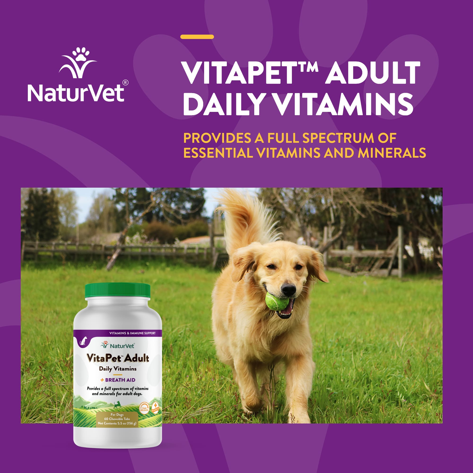 Vitapet puppy outlet vitamins