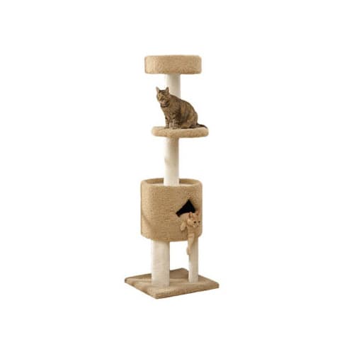 Classy kitty cat store furniture