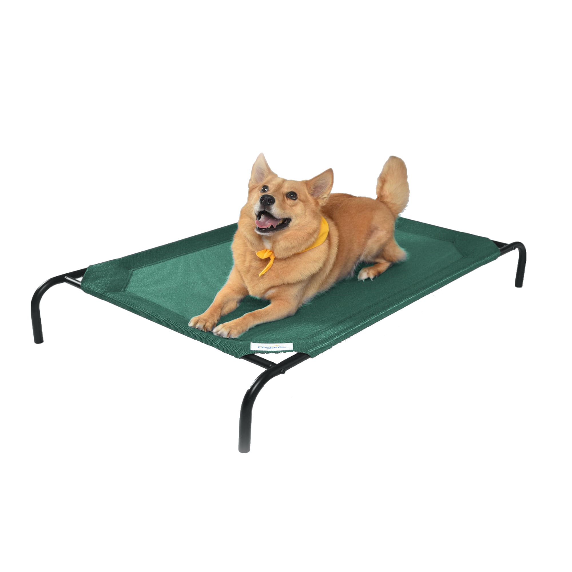 Coolaroo Green Elevated Pet Bed, 51" L X 31.5" W X 8" H Petco