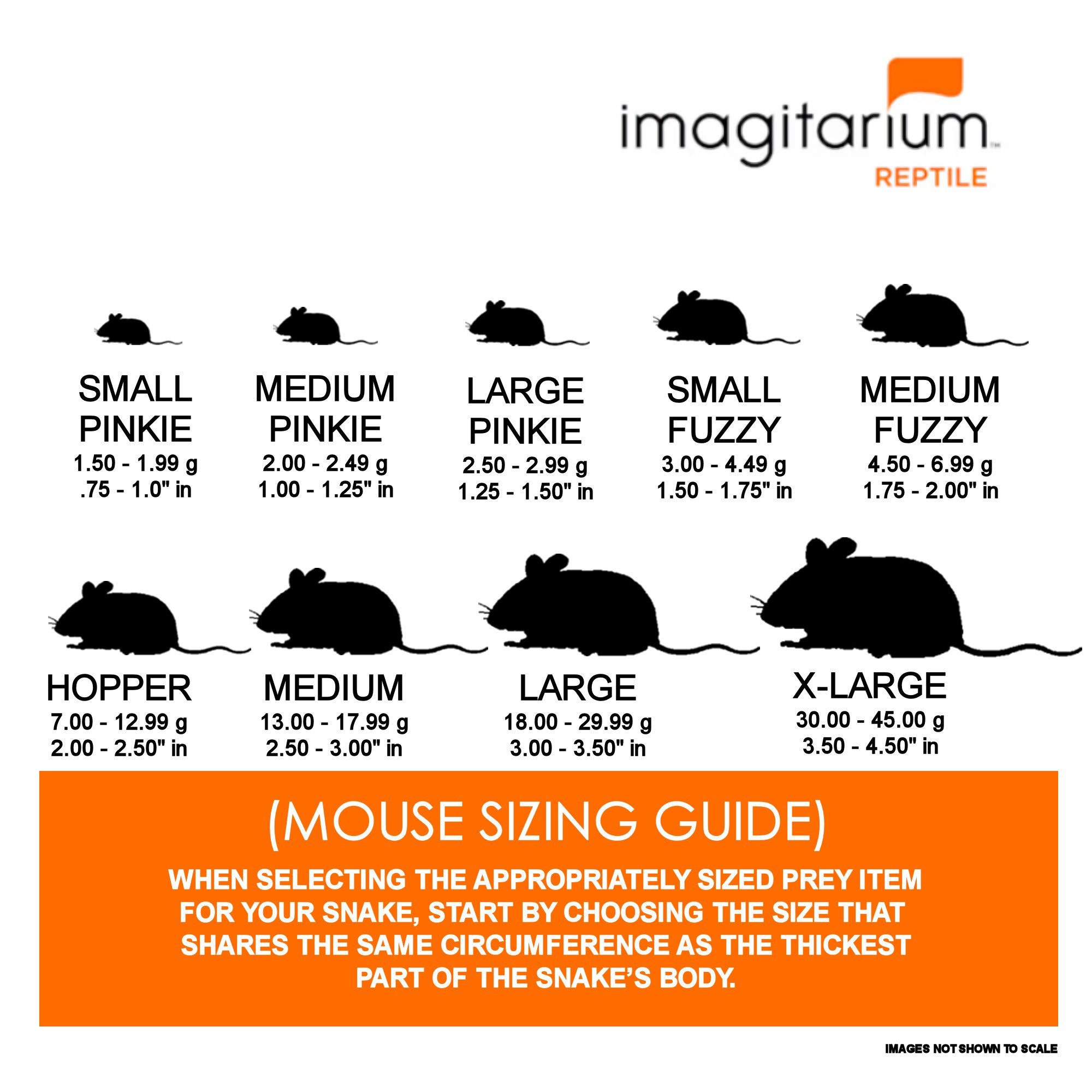 Frozen Hopper Mouse, Count of 50 Petco