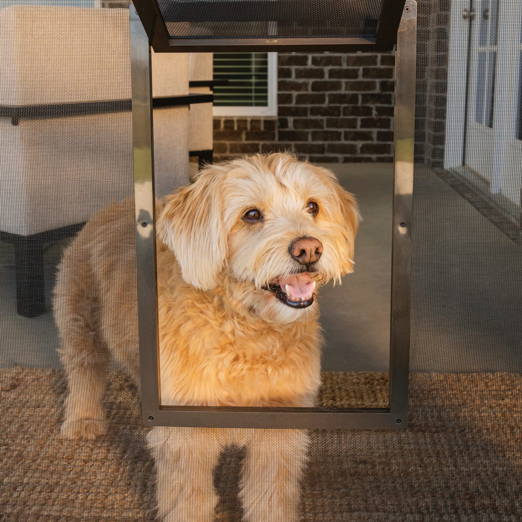 screen door doggy door