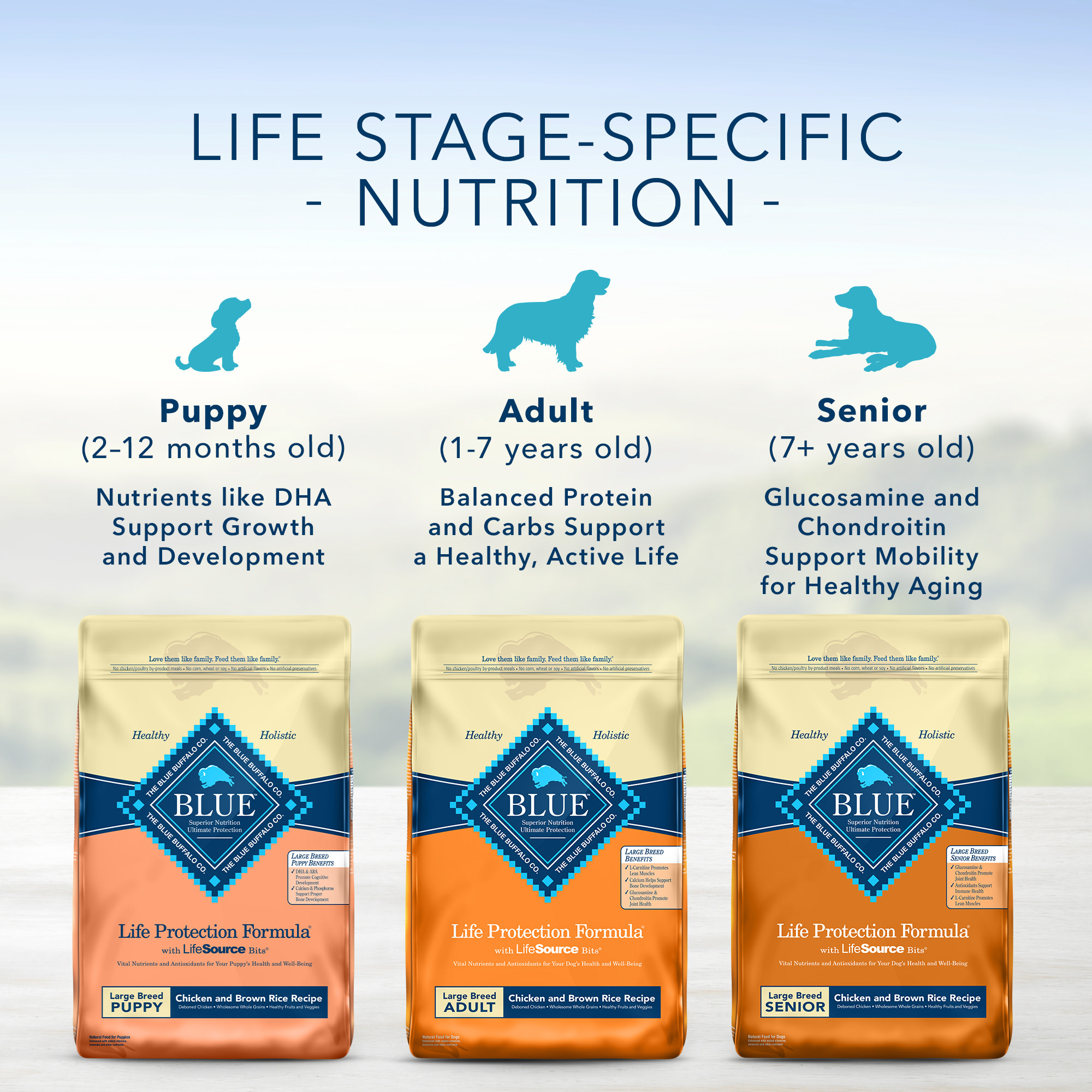 Blue Buffalo Life Protection Formula Natural Adult Large Breed Chicken and  Brown Rice Dry Dog Food, 34 lbs.