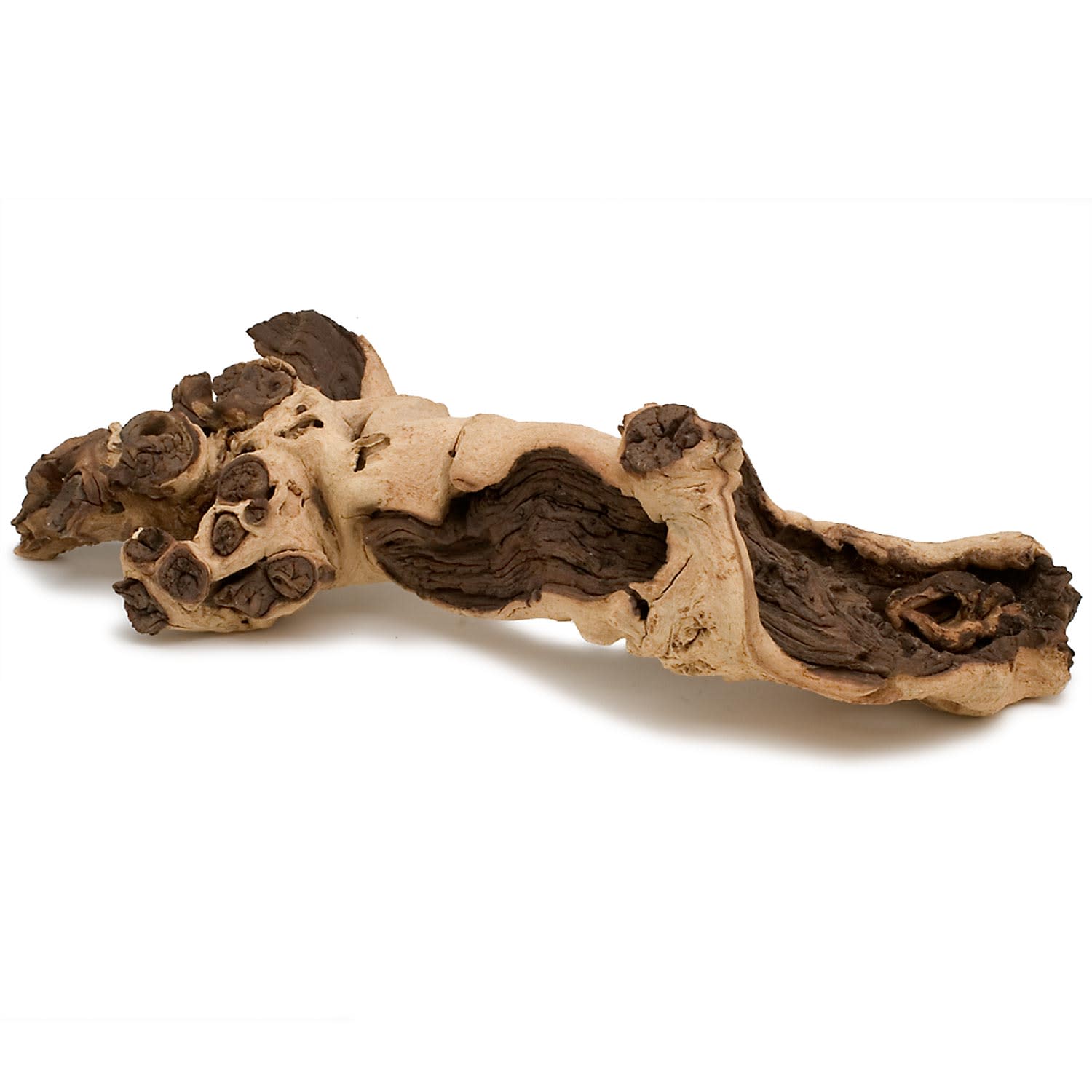 Zoo Med Aquatic Natural Mopani Wood Petco