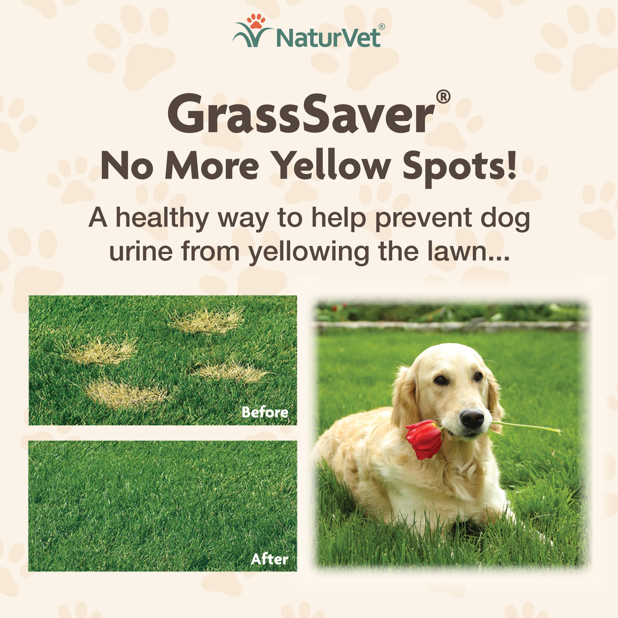 Grasssaver top dog treats