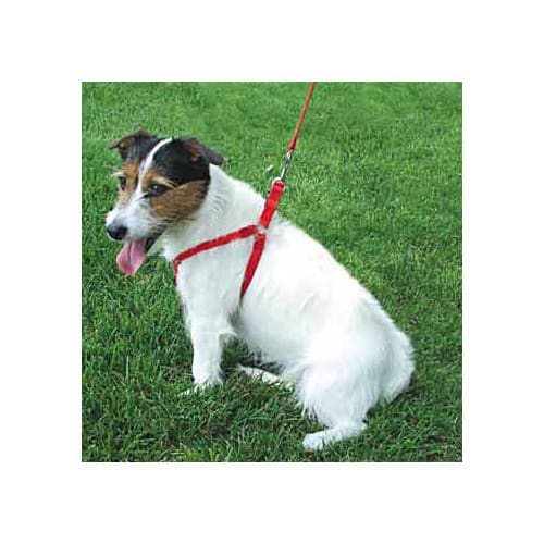 Coastal on sale dog harnesses