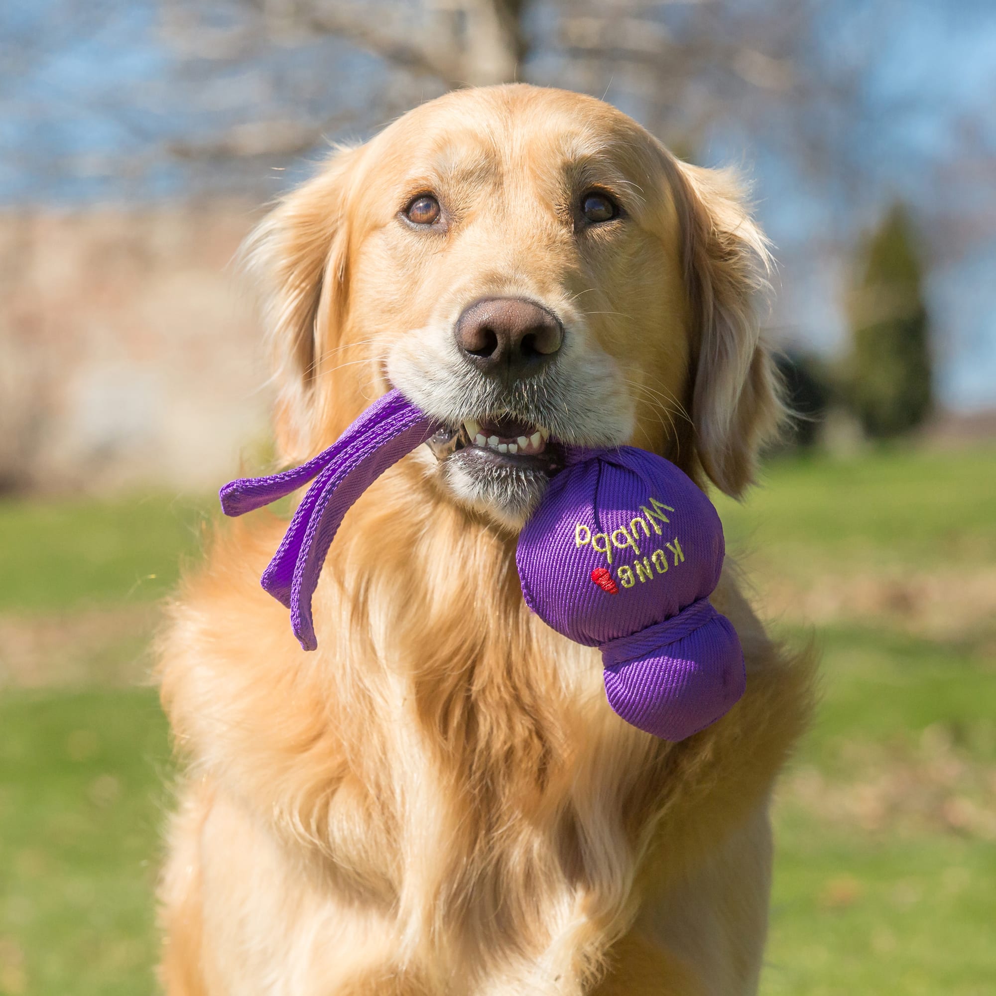 Petco kong wubba sale