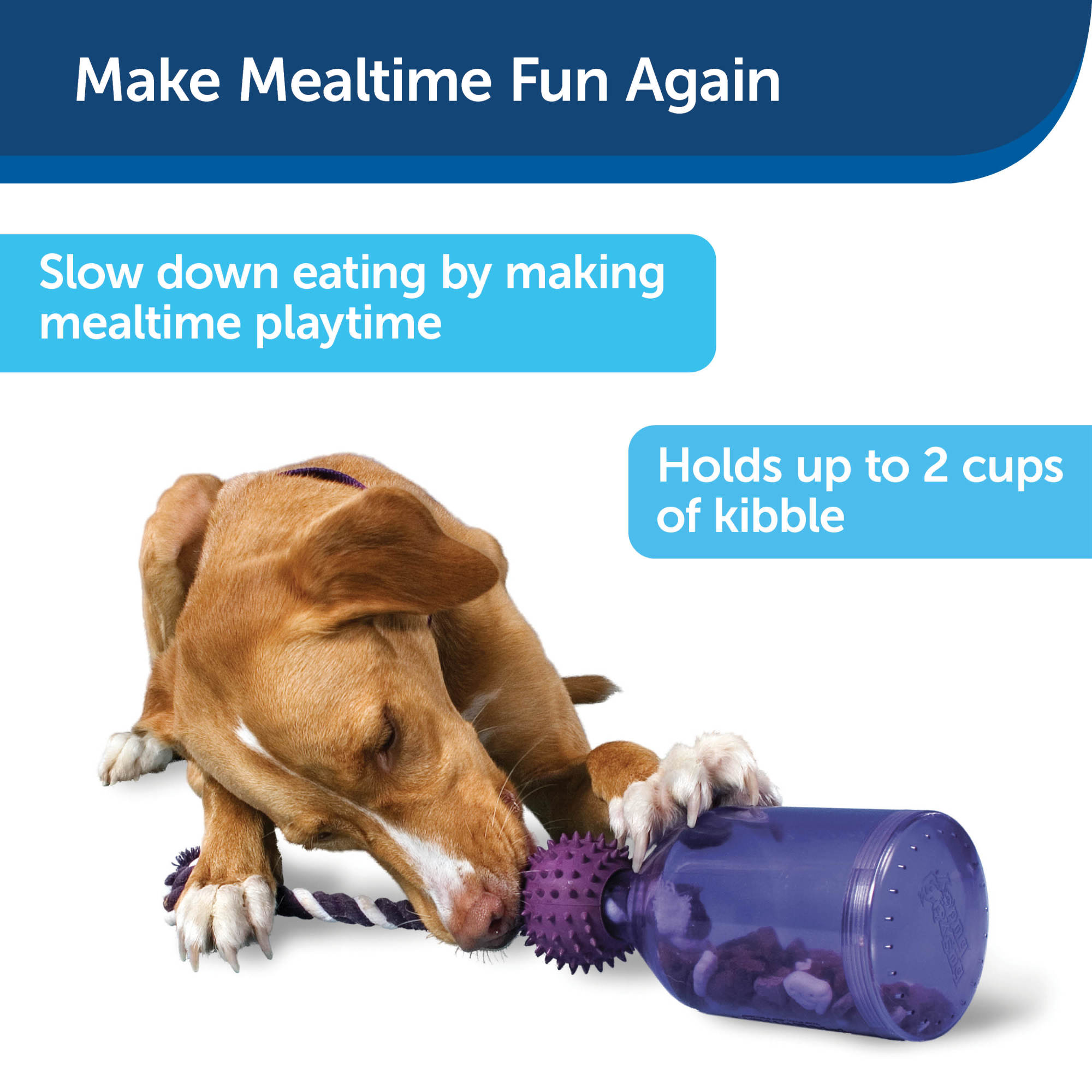 PetSafe Busy Buddy Tug a jug Dog Treat Dispensing Toy Petco