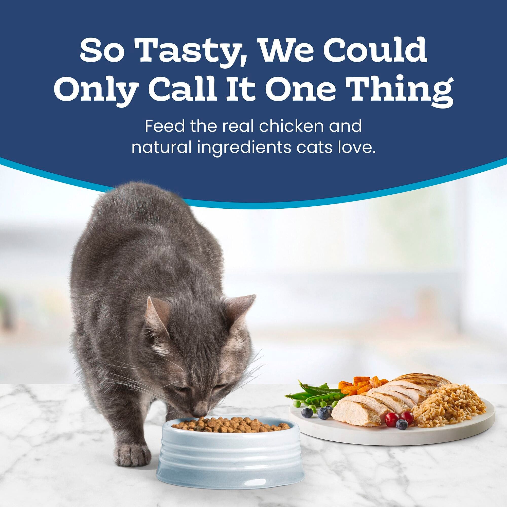 alternatives to wet dog food 95% Premium Meats™ Chicken & Chicken Liver For Dogs / 12.5 oz main image 0