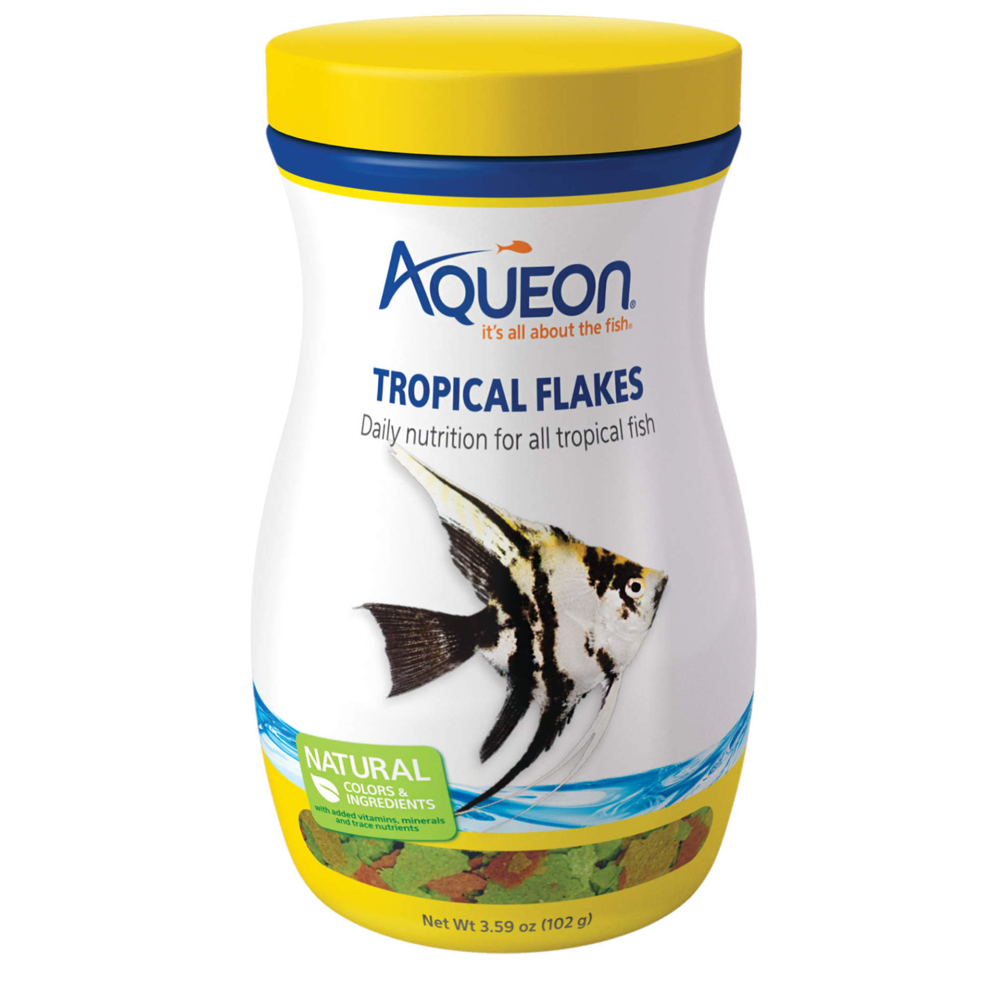 Betta fish 2024 tropical flakes