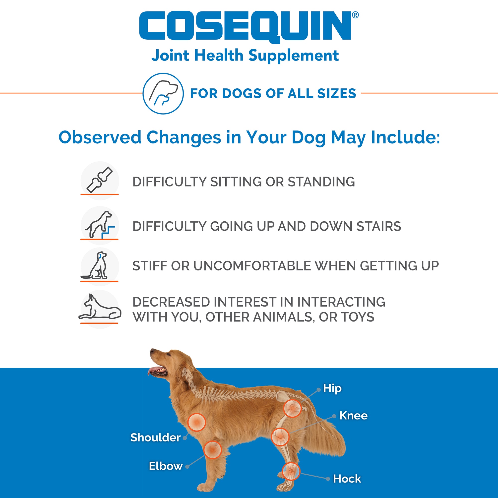 Cosequin petco outlet