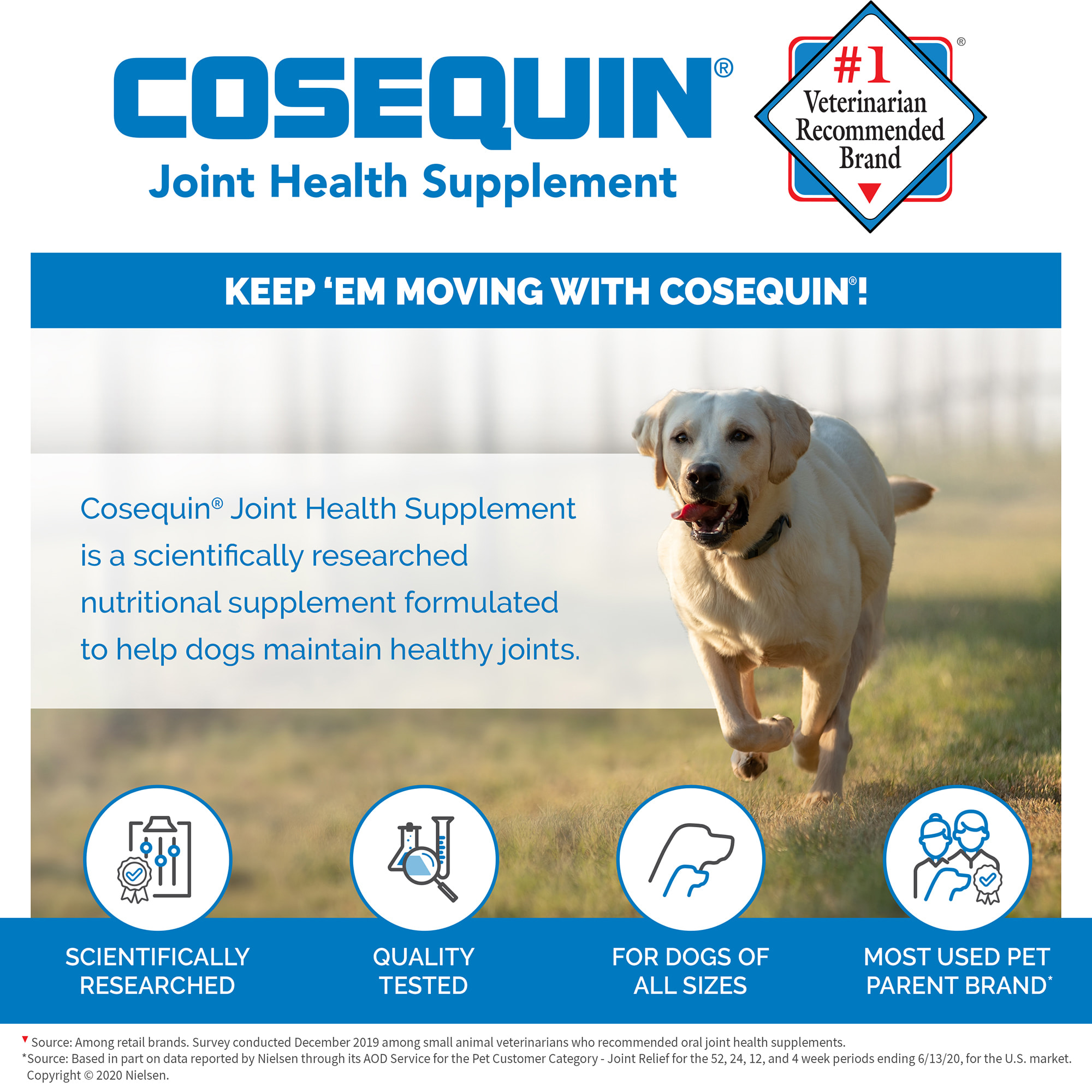 cosequin dose for dogs