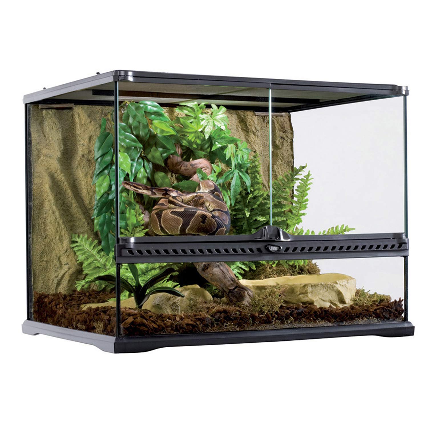 Exo terra 24 x shop 18 x 24 glass terrarium