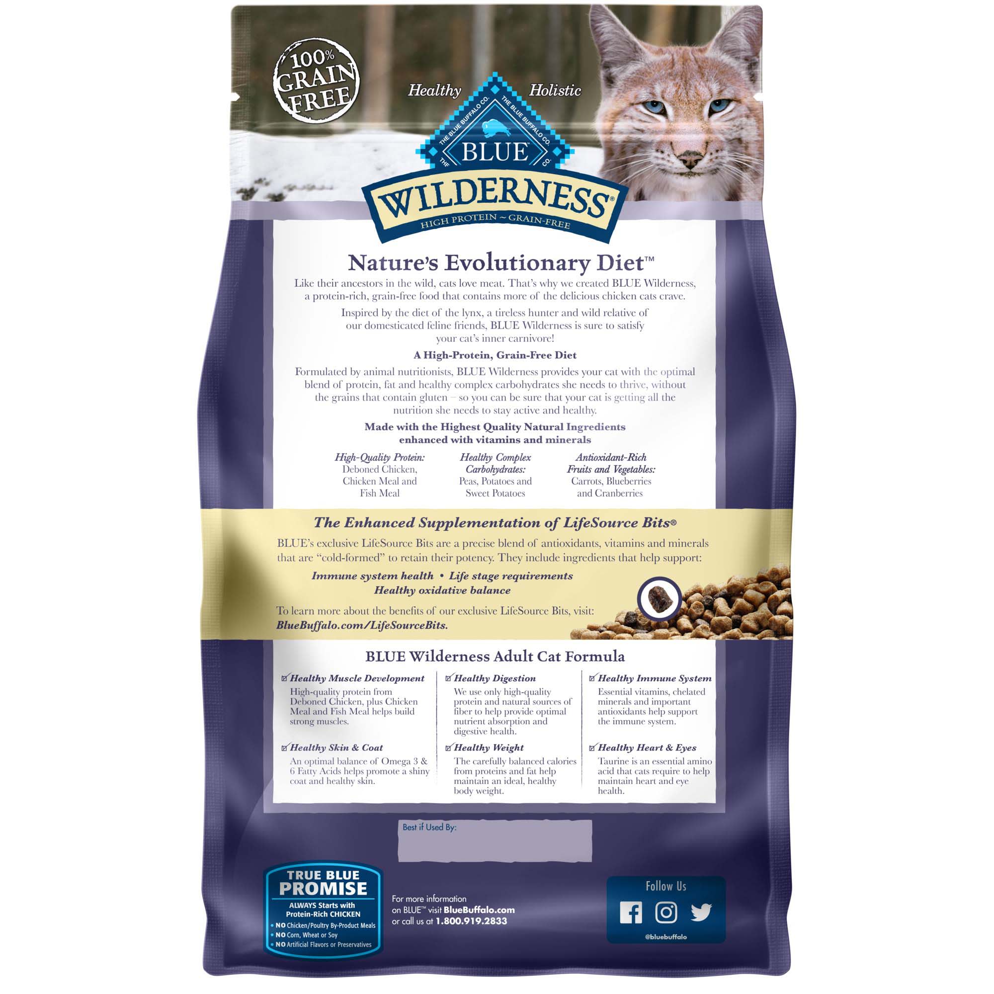 Blue wellness cat clearance food