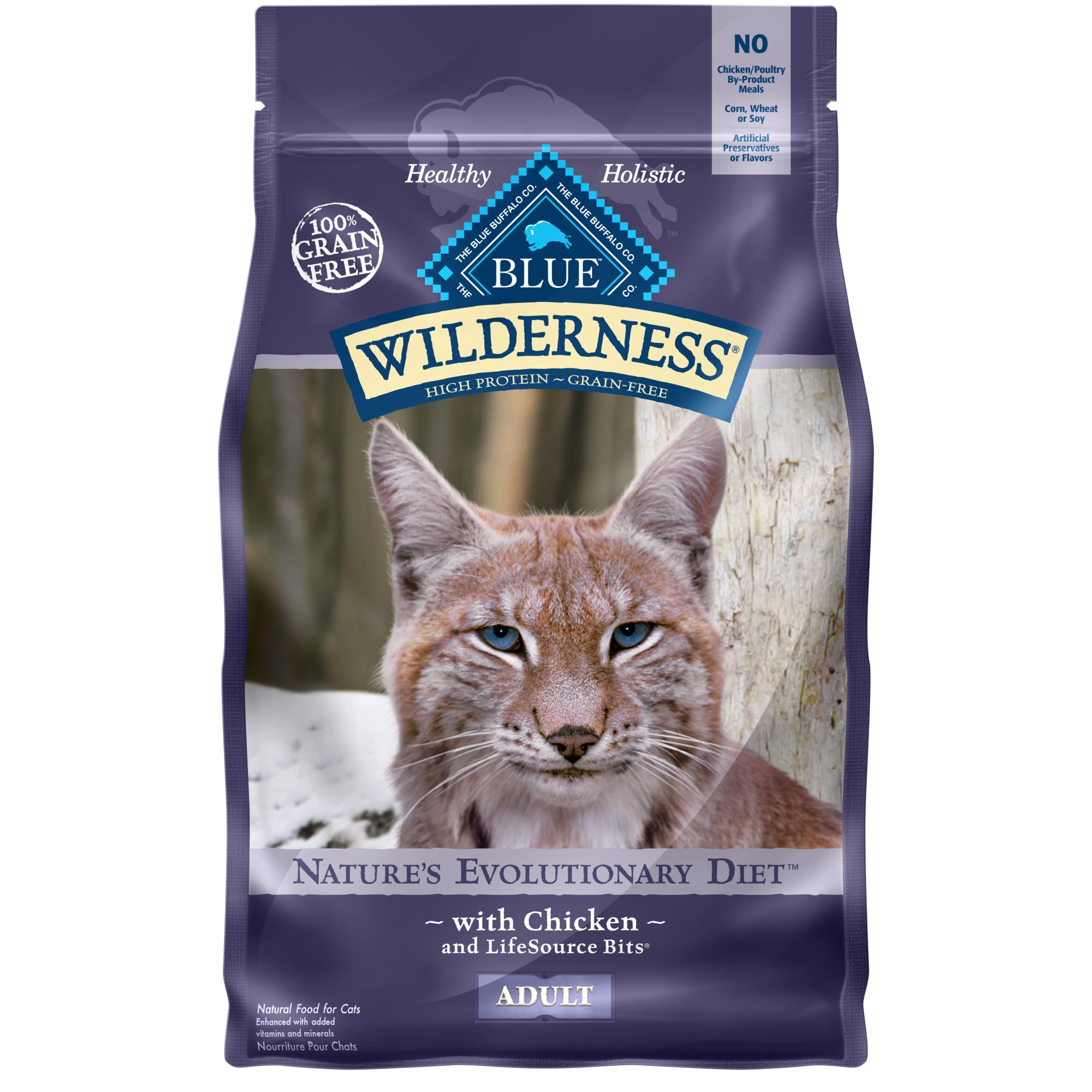 high protein dry cat food