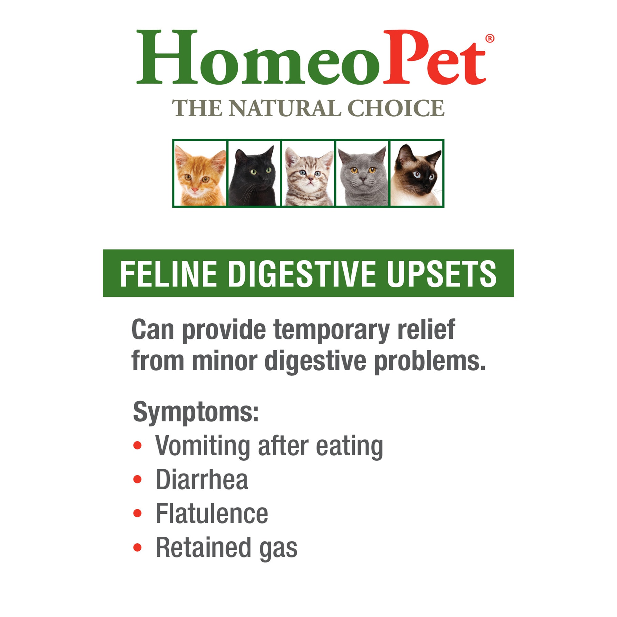 HomeoPet Feline Digestive Upsets 15 mL Petco