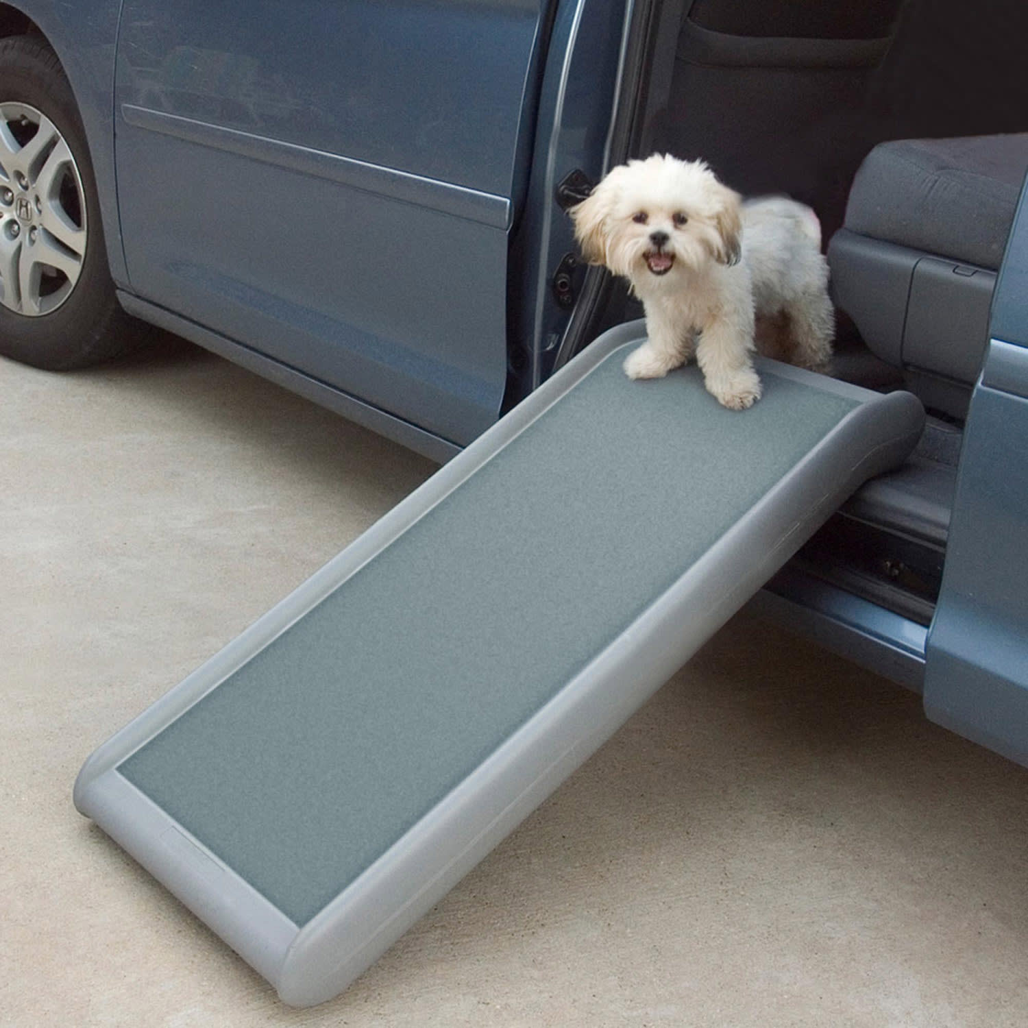 Petco hot sale pet ramp