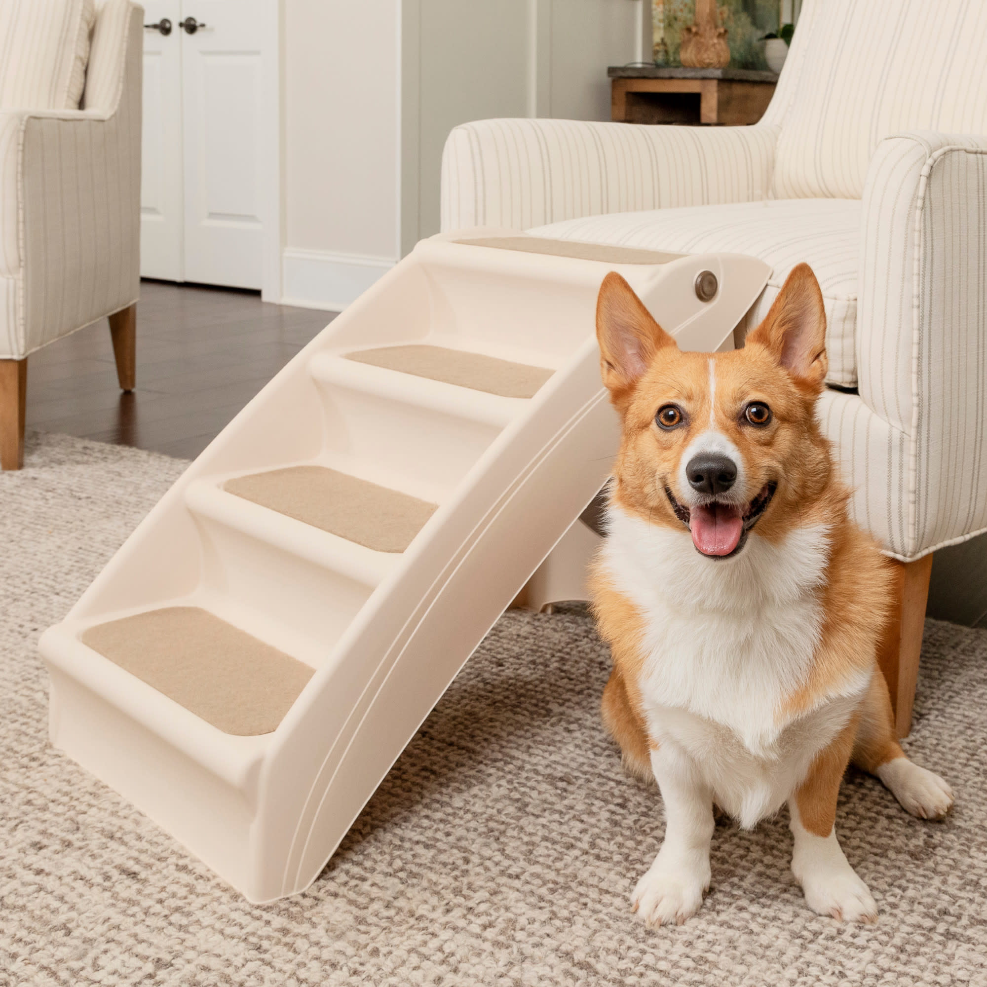 Collapsible 2025 pet stairs