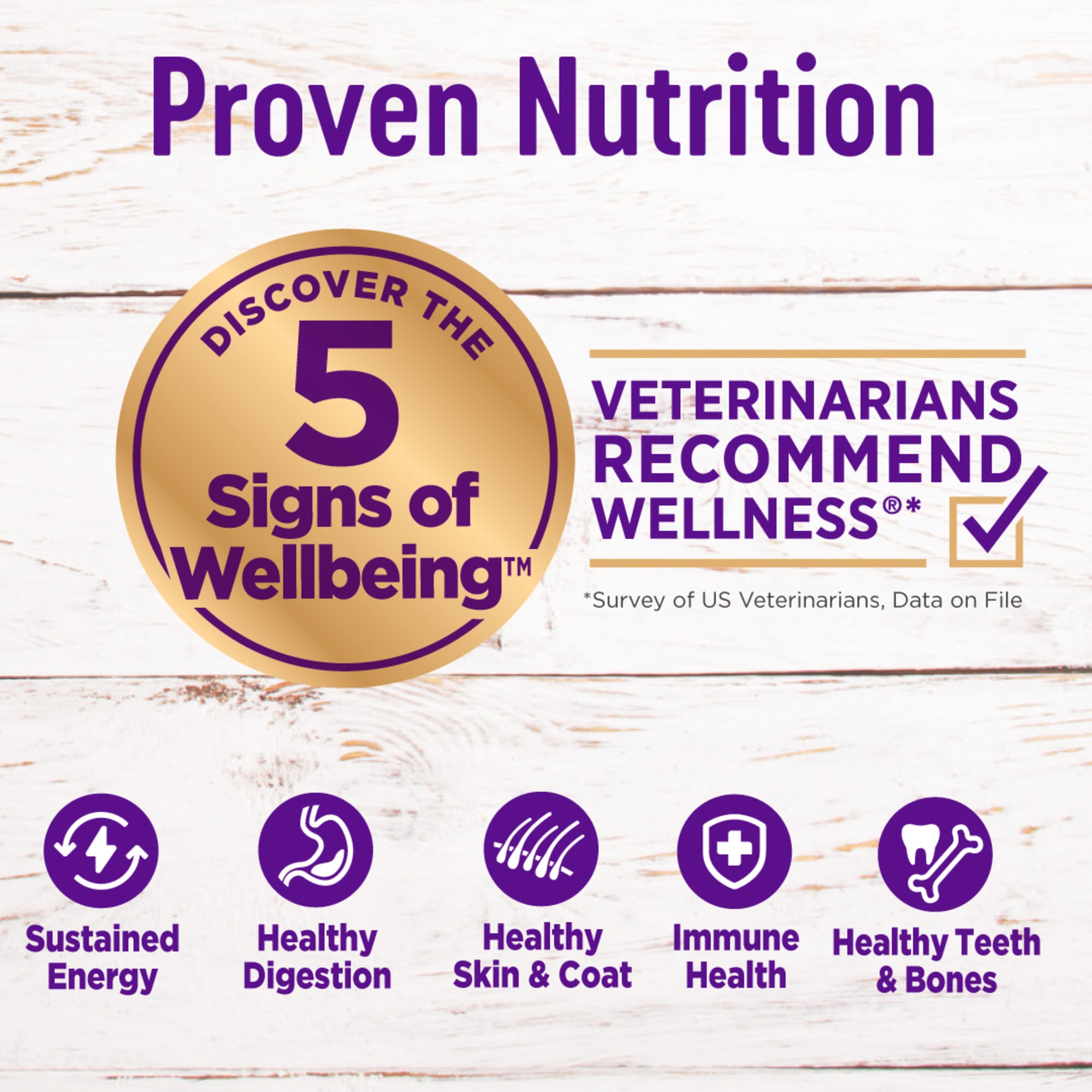 Wellness Complete Health Natural Large Breed Health Recipe Dry Dog Food 30 lbs. Petco