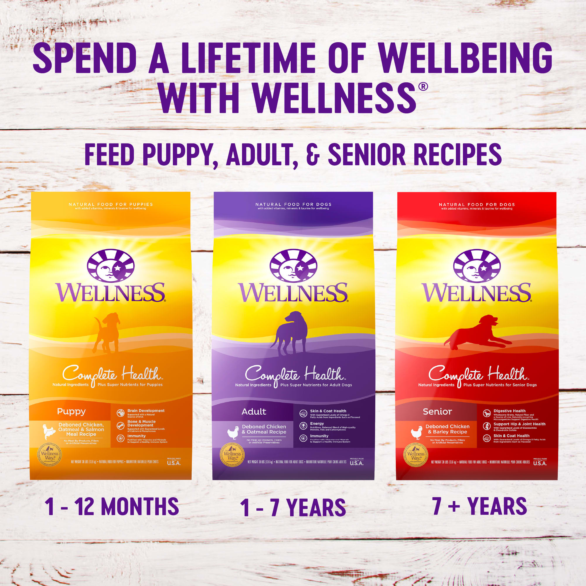 Wellness lamb and outlet oatmeal