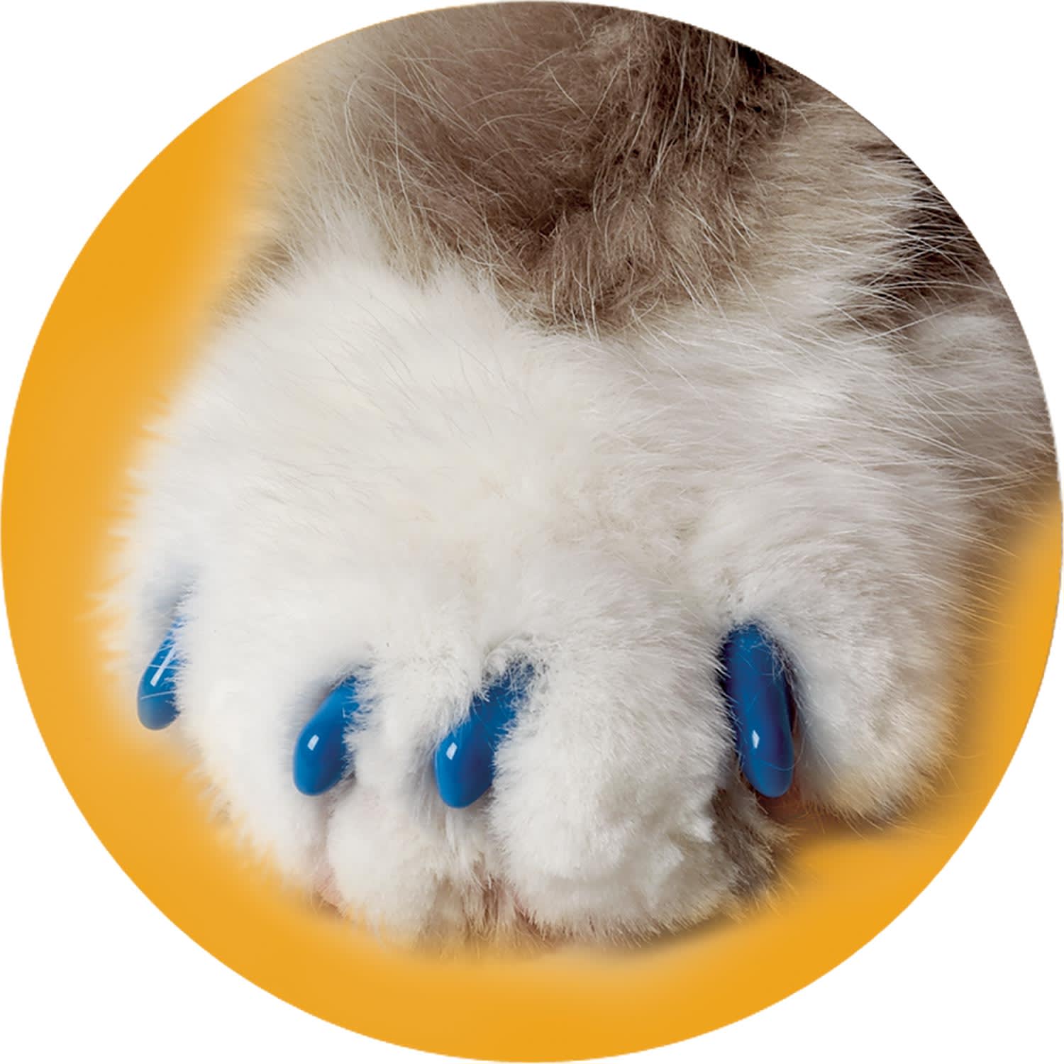 Soft Claws Blue Cat Nail Caps Petco