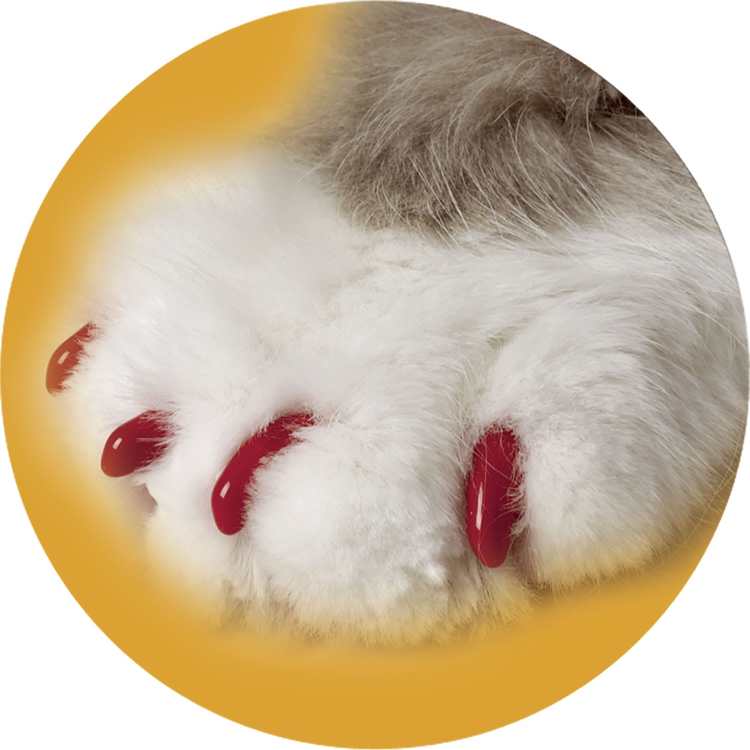 Soft Claws Red Cat Nail Caps Small Petco