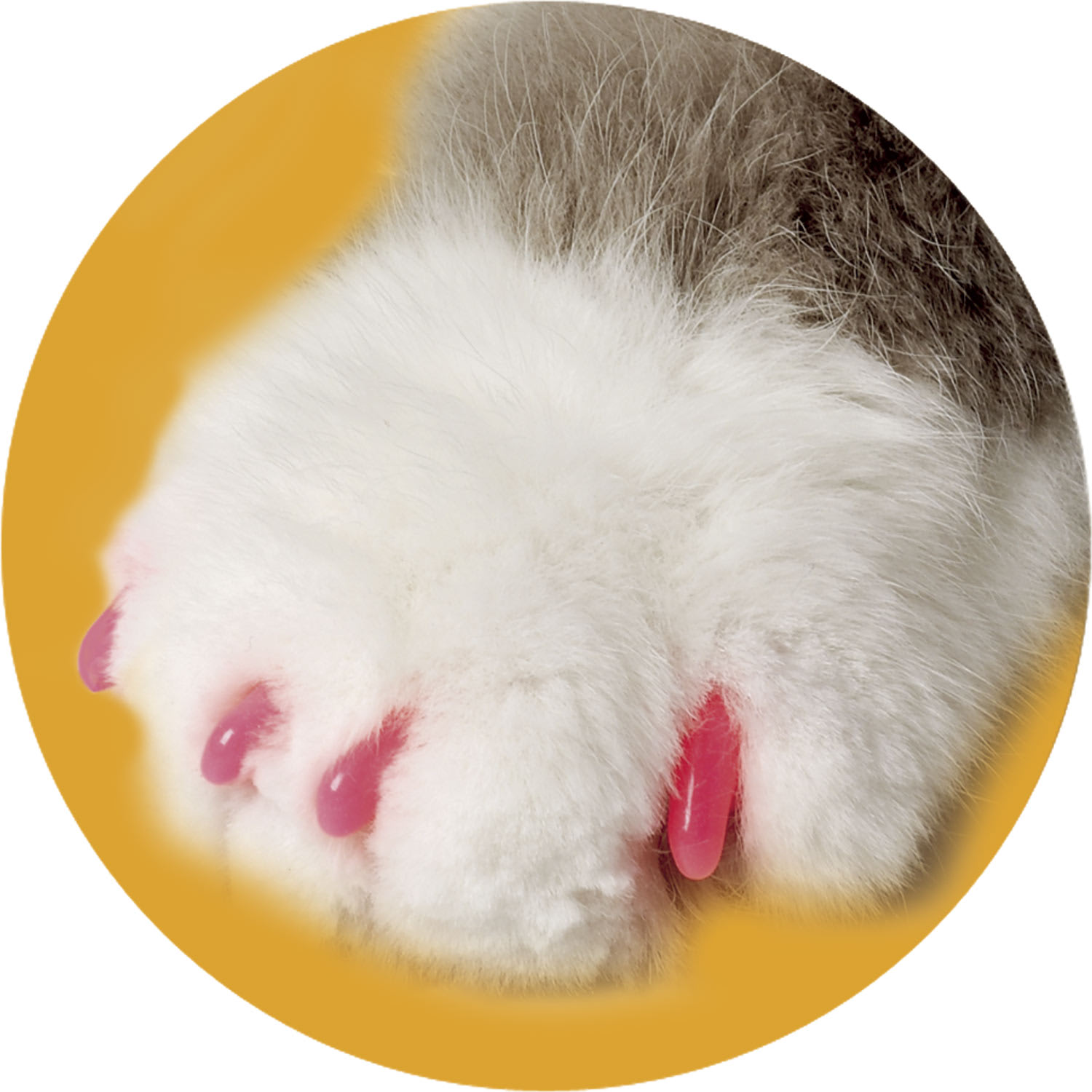 Soft Claws Pink Cat Nail Caps Small