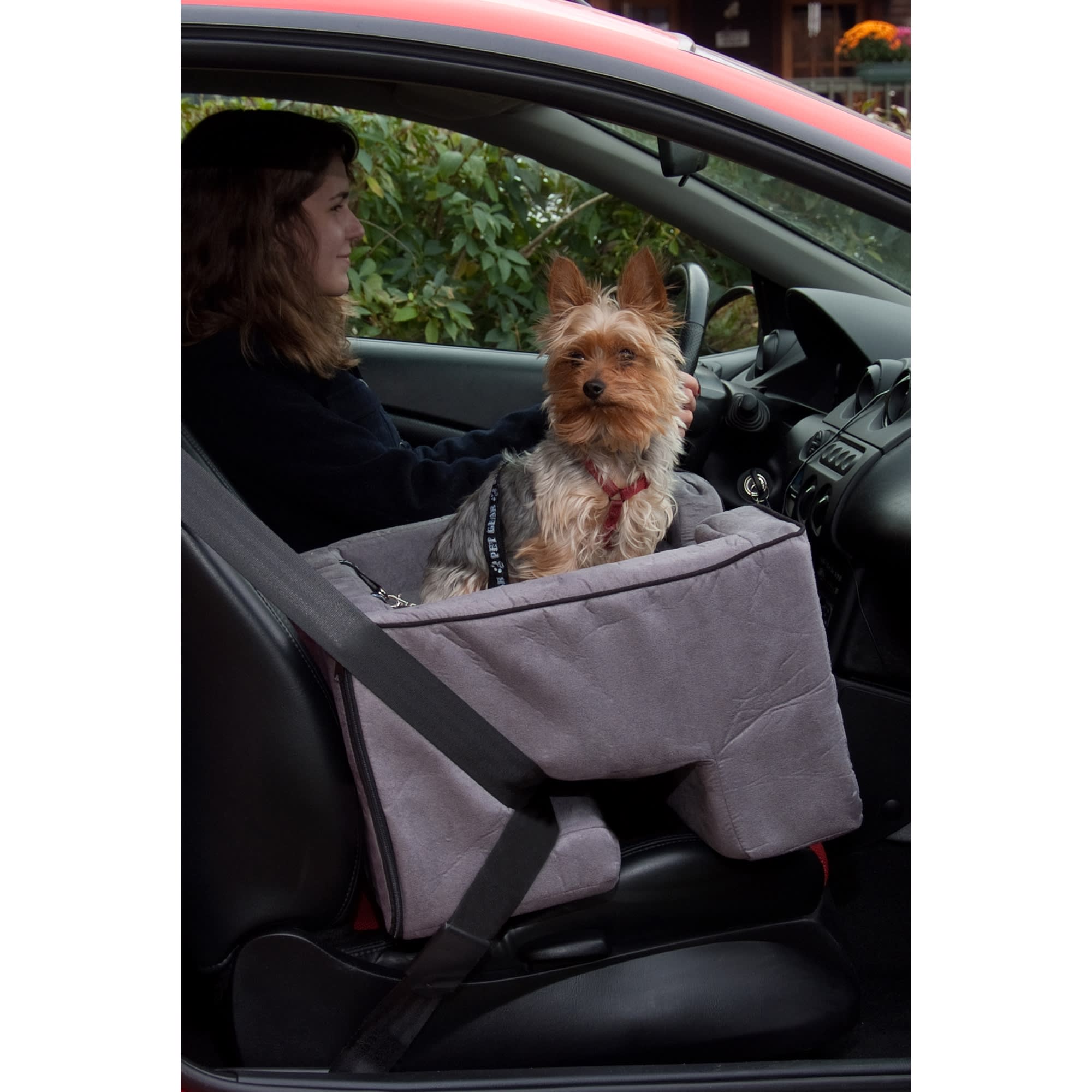 Pet gear shop booster seat