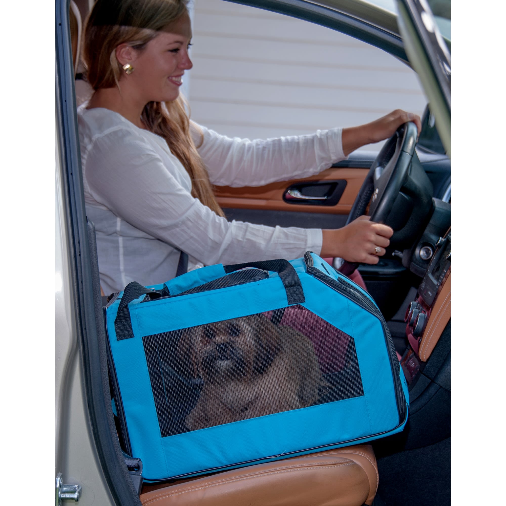 Pet gear hotsell car seat carrier