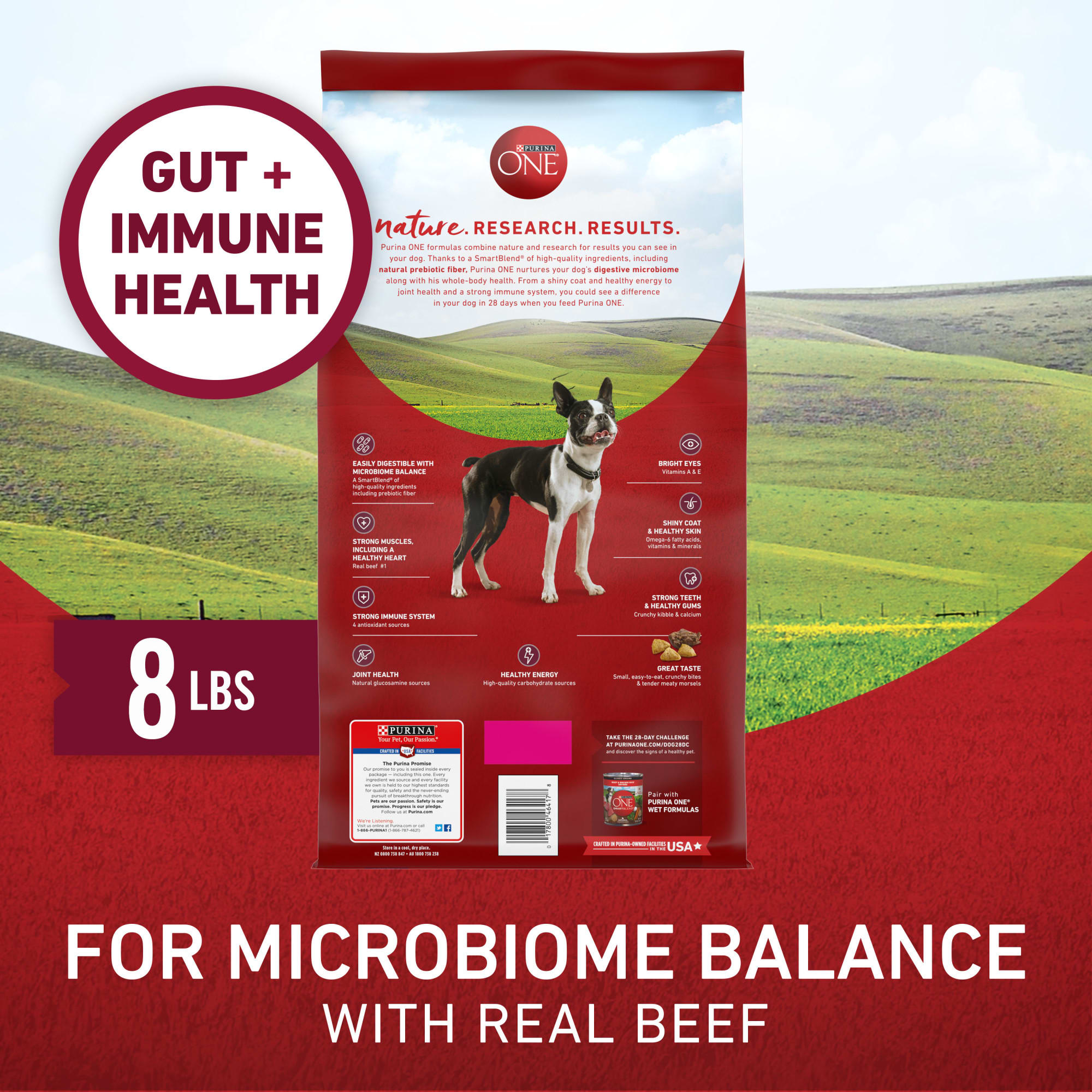 Purina ONE Small Bites Beef & Rice Formula High Protein Natural Dry Dog Food  w/ Added Vitamins, Minerals & Nutrients, 31.1 lbs. | Petco