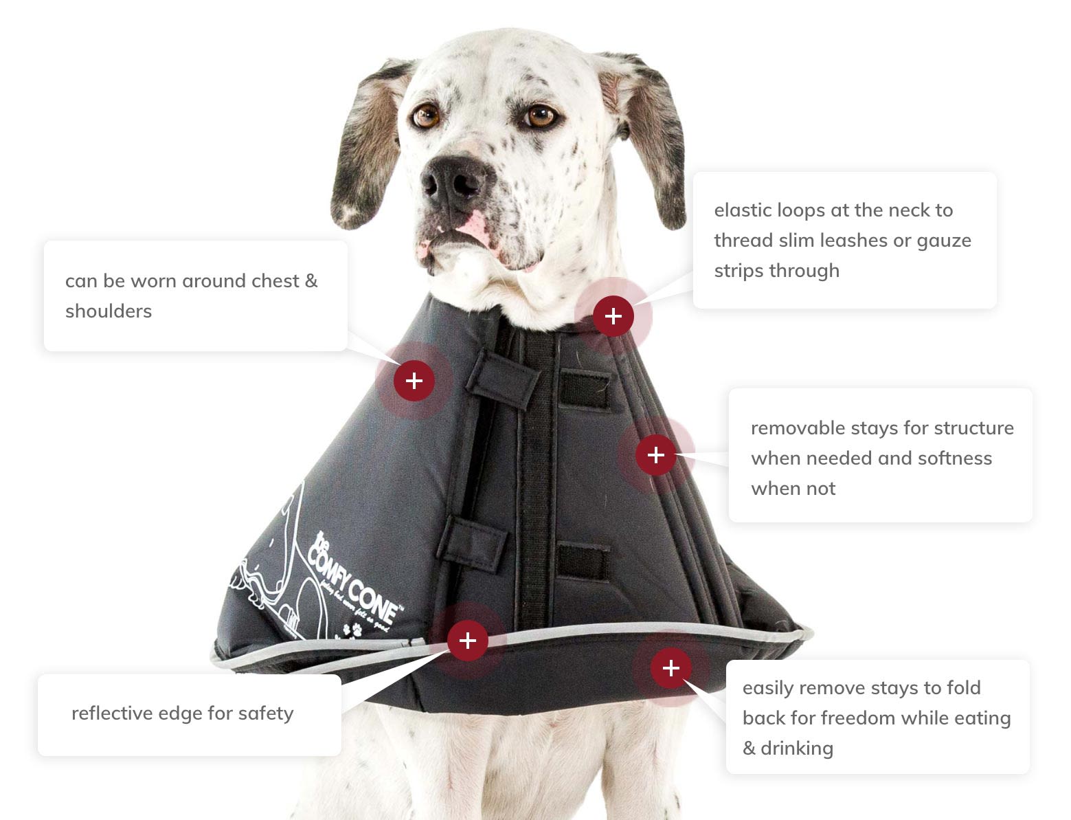 Petco 2024 soft collar