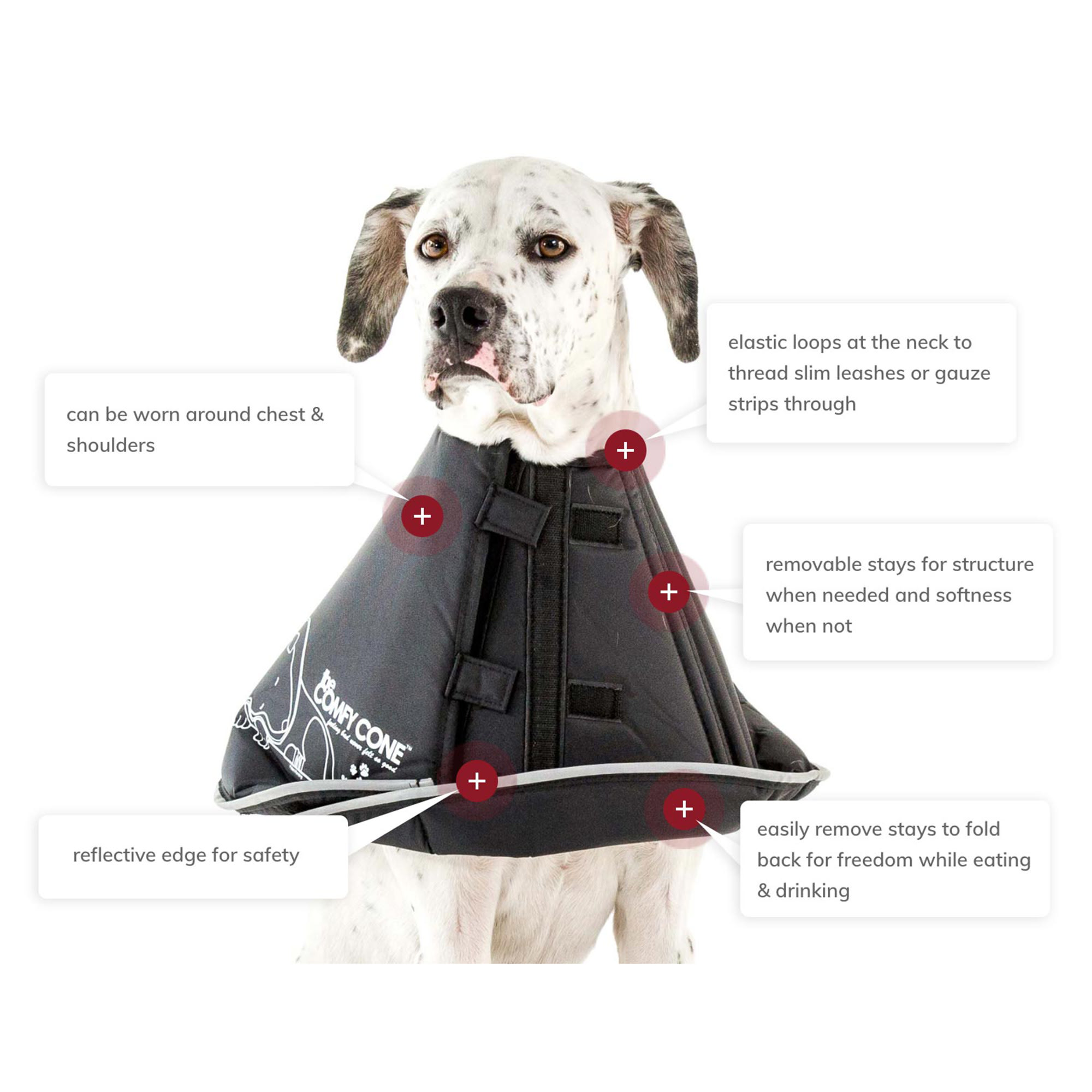 All Four Paws Comfy Cone Black Soft e Collar with Removable Stays for Dogs X Large