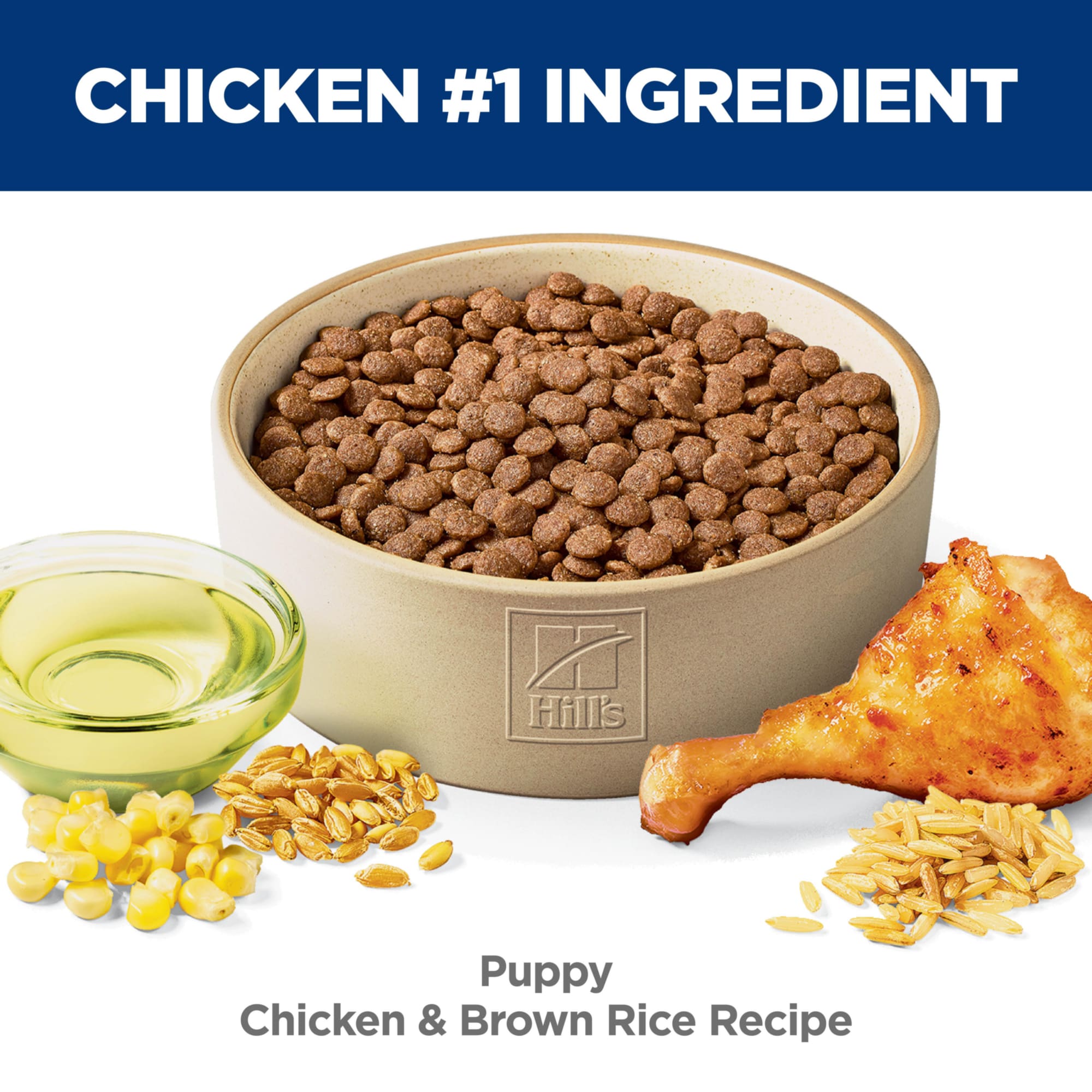 Hill's Science Diet Chicken Brown Rice Recipe Dry Puppy Food
