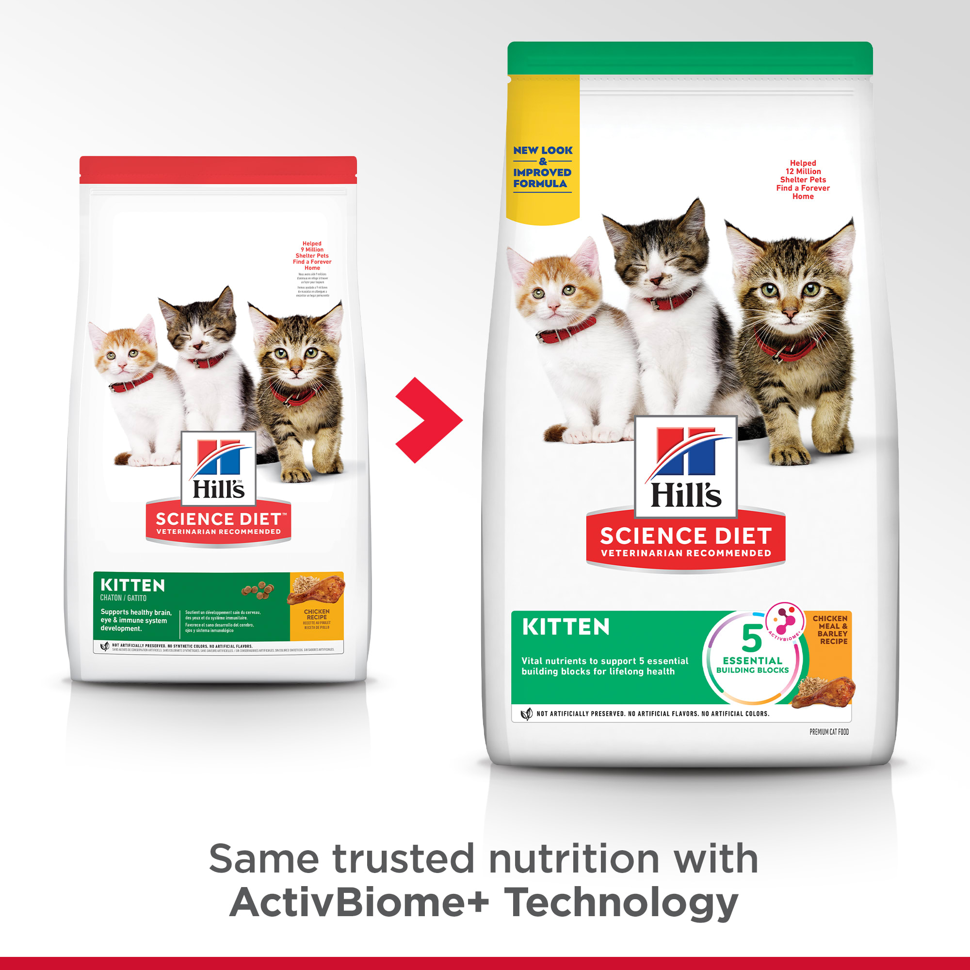 Hill s Science Diet Chicken Recipe Dry Kitten Food 15.5 lbs. Petco