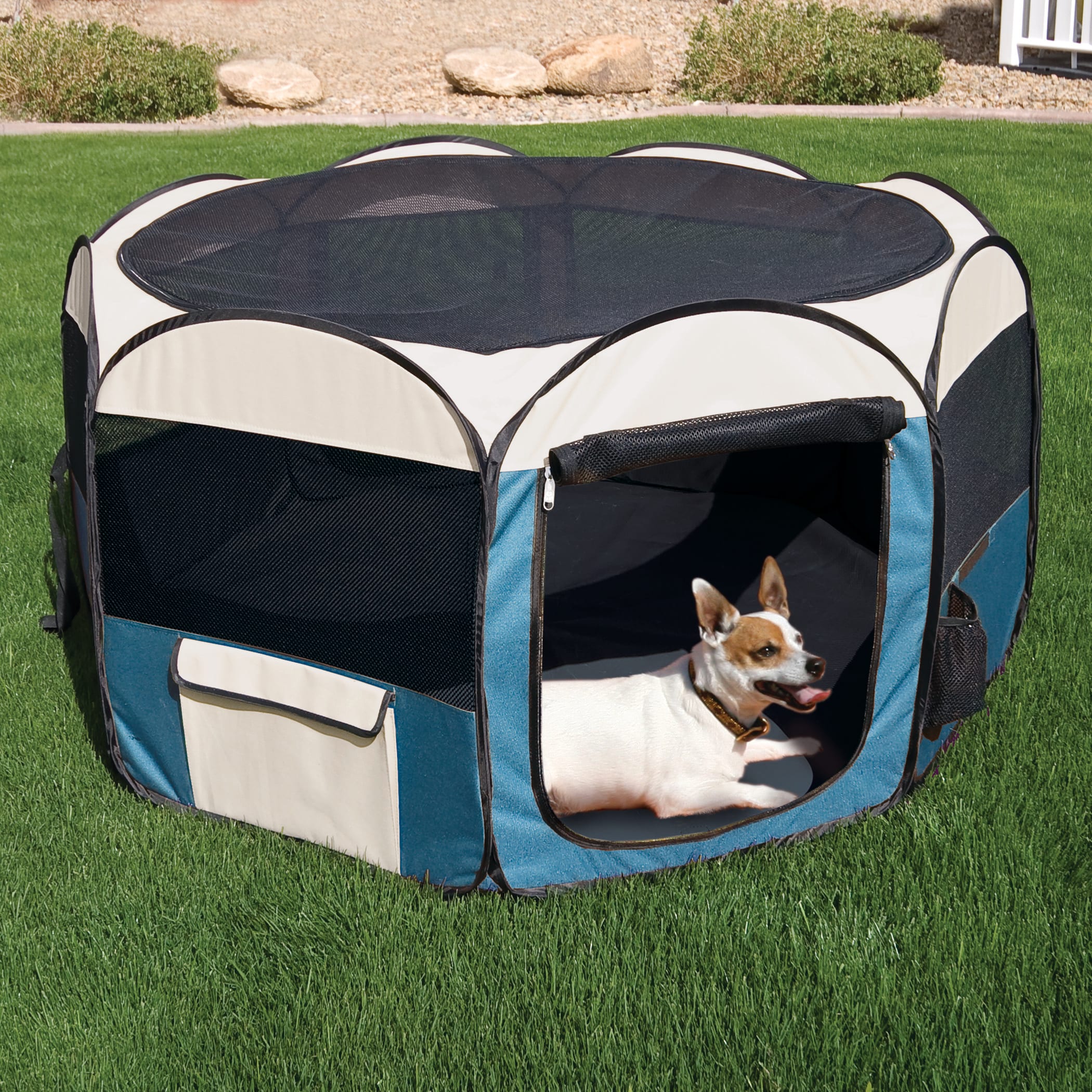 Cat playpen clearance petco