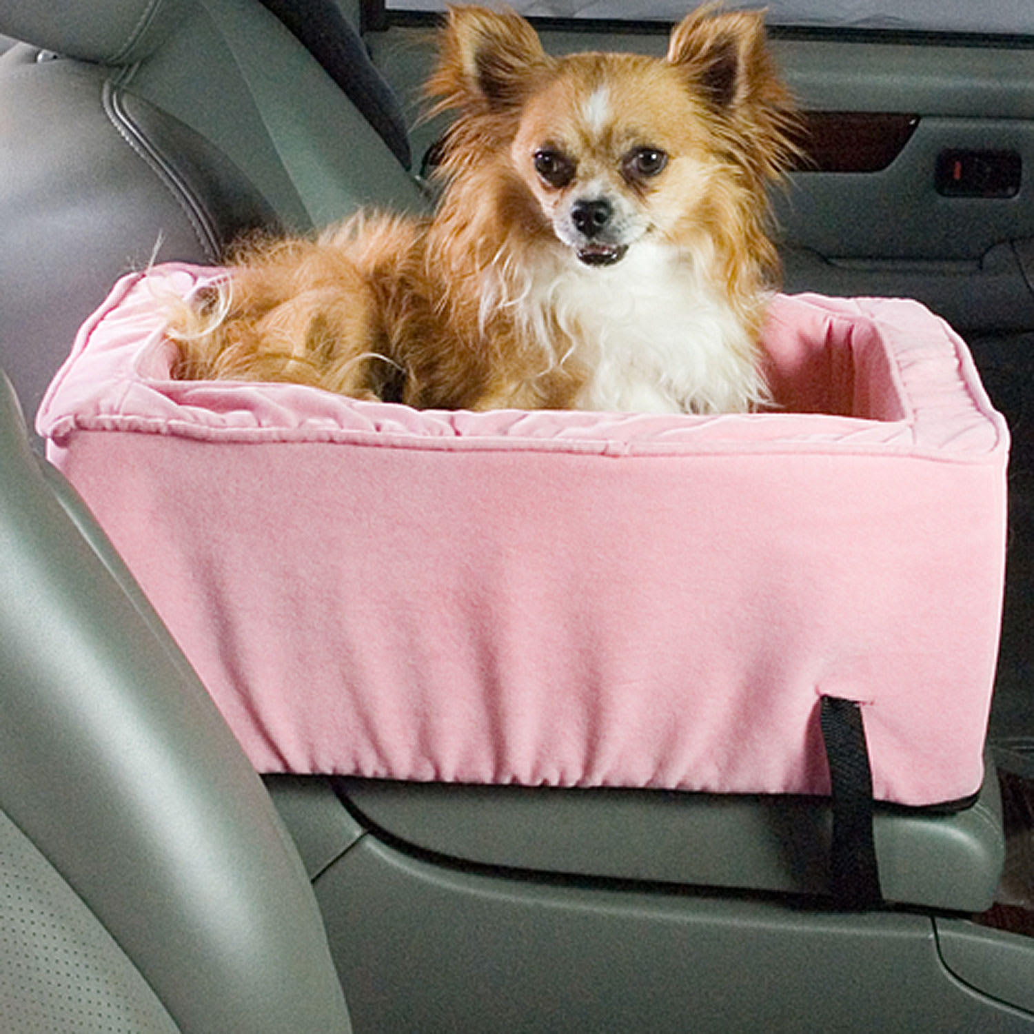 Petco dog shop booster seat