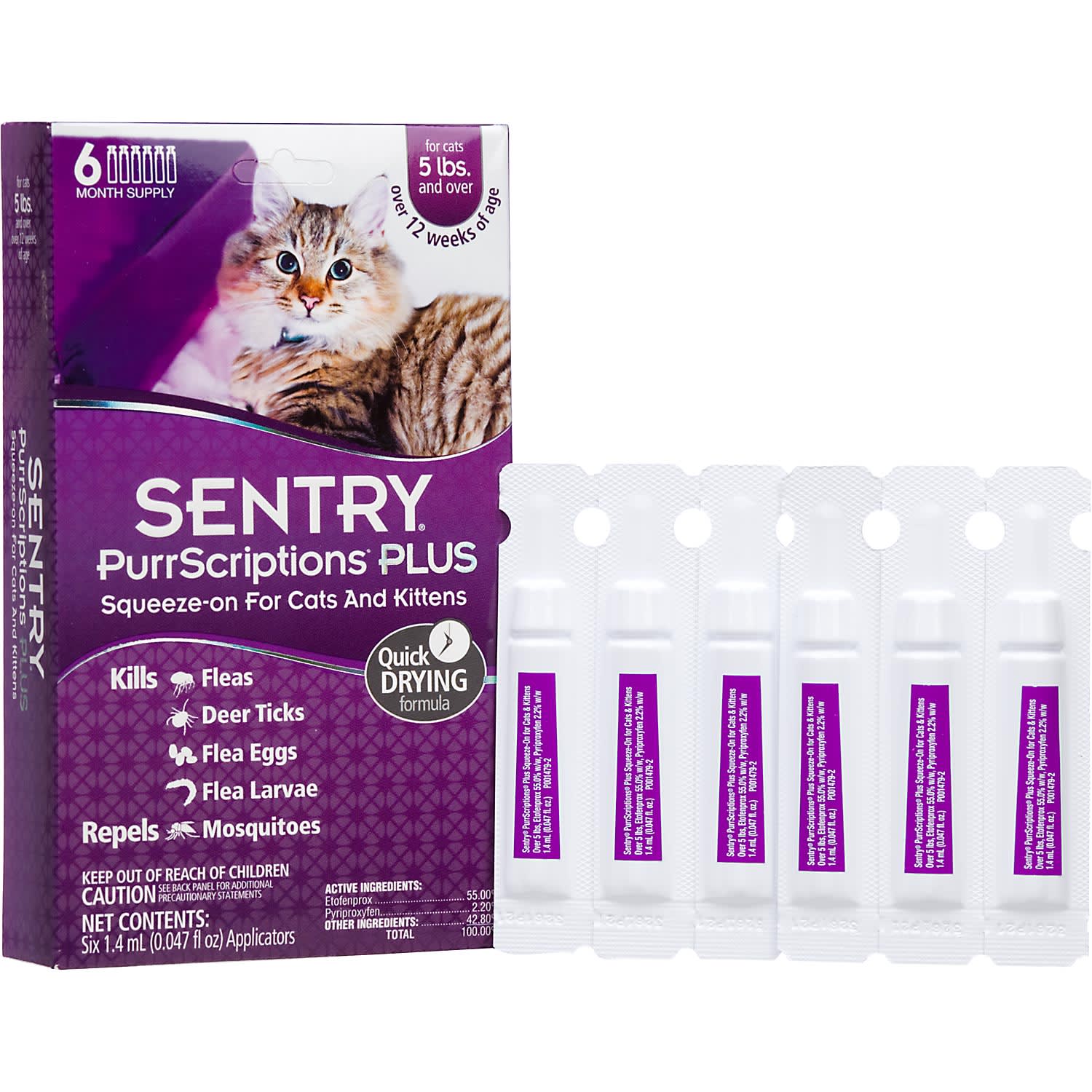 Petco kitten flea treatment hotsell