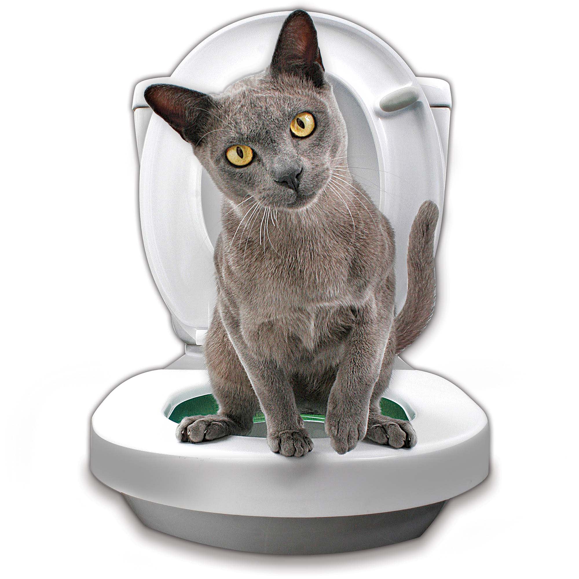 cat litter litter kwitter orange stage problems Litter Kwitter Toilet Training System Petco