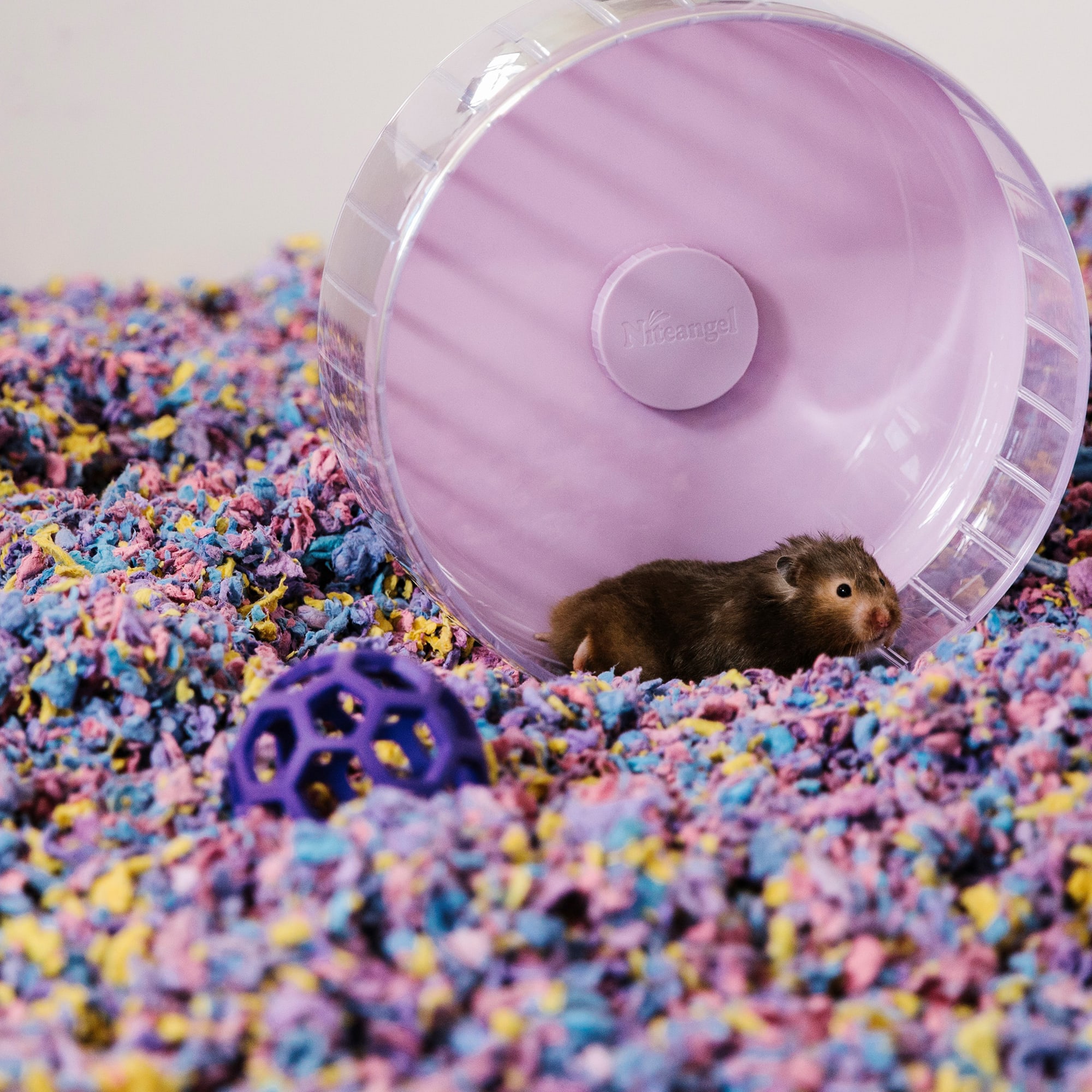 Confetti shop hamster bedding