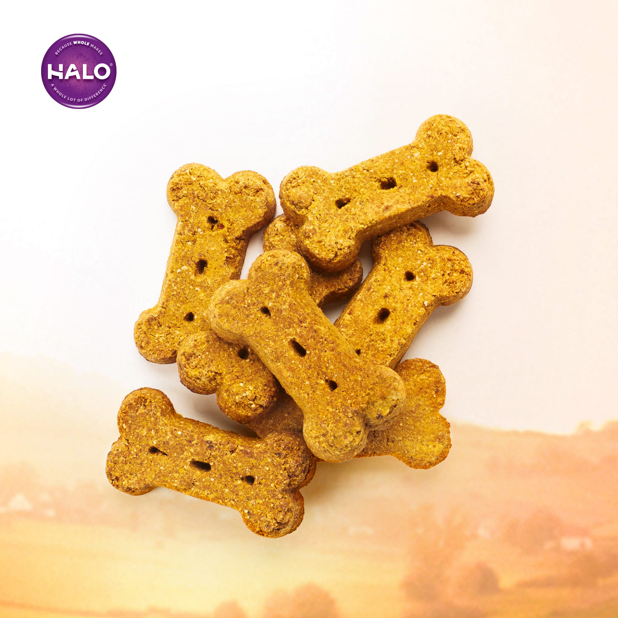 Halo Peanut Pumpkin Natural Dog Biscuits 8 oz