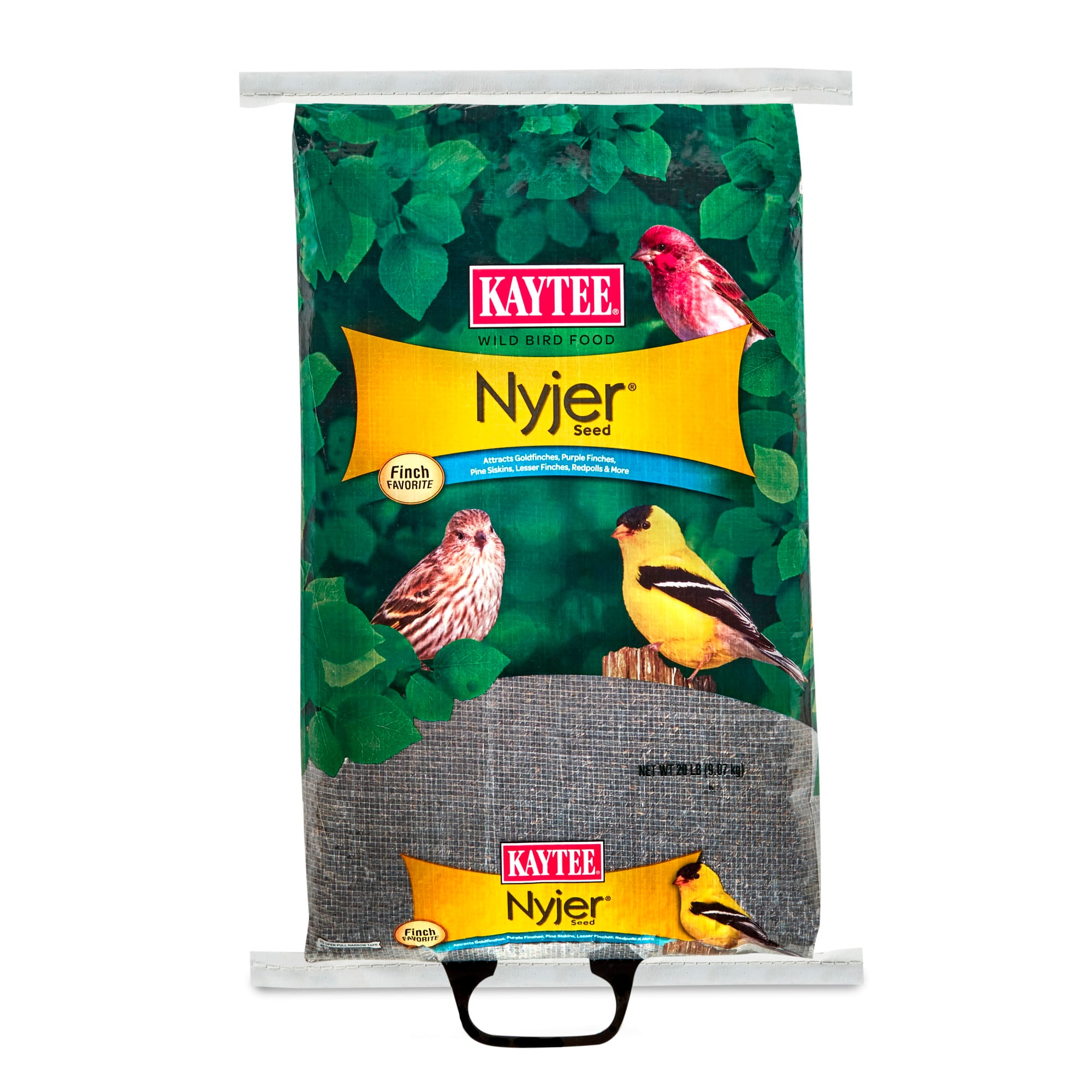 Petco finches store