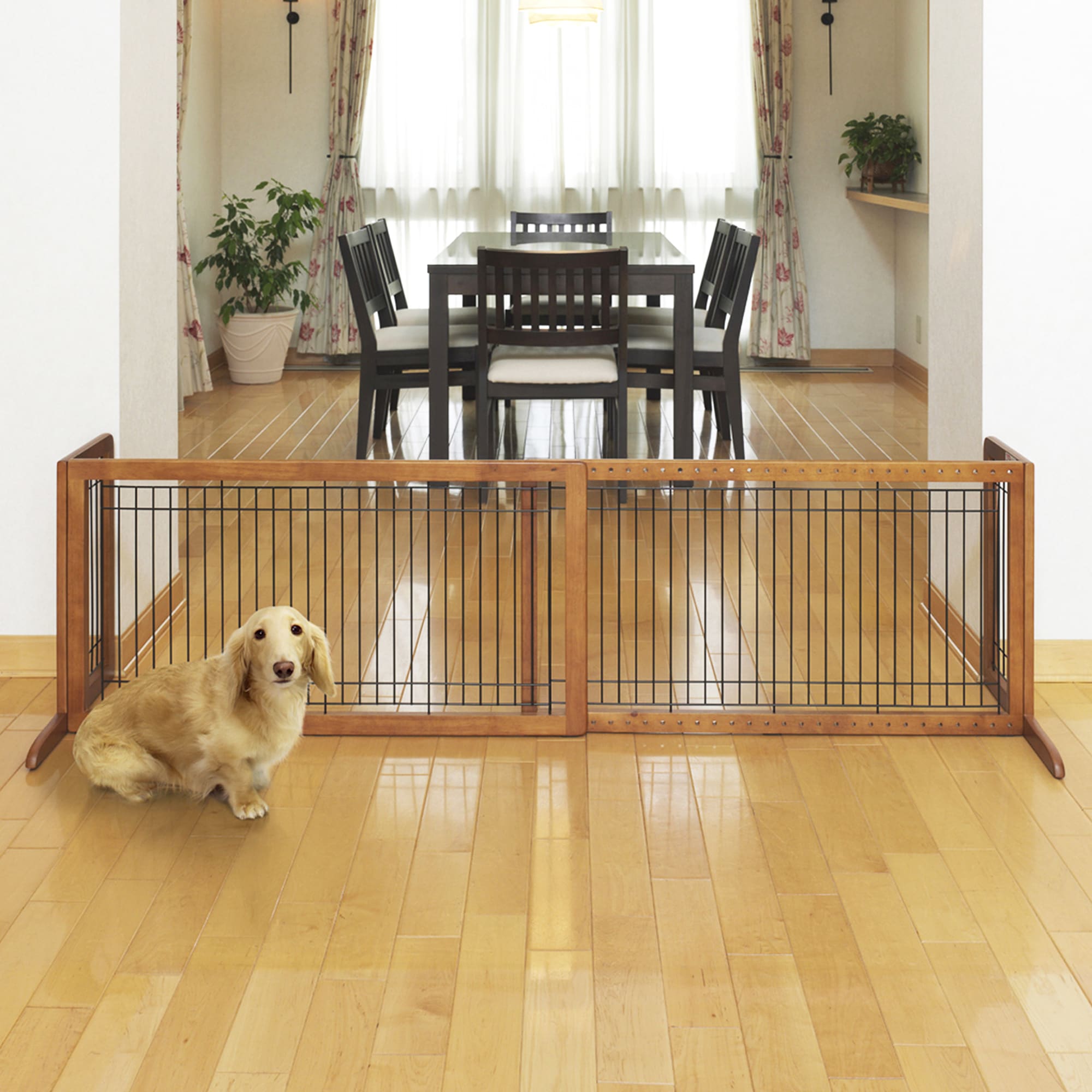 Petco dog best sale gates indoor