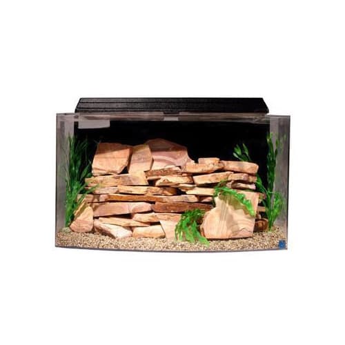 seaclear bowfront aquarium combo