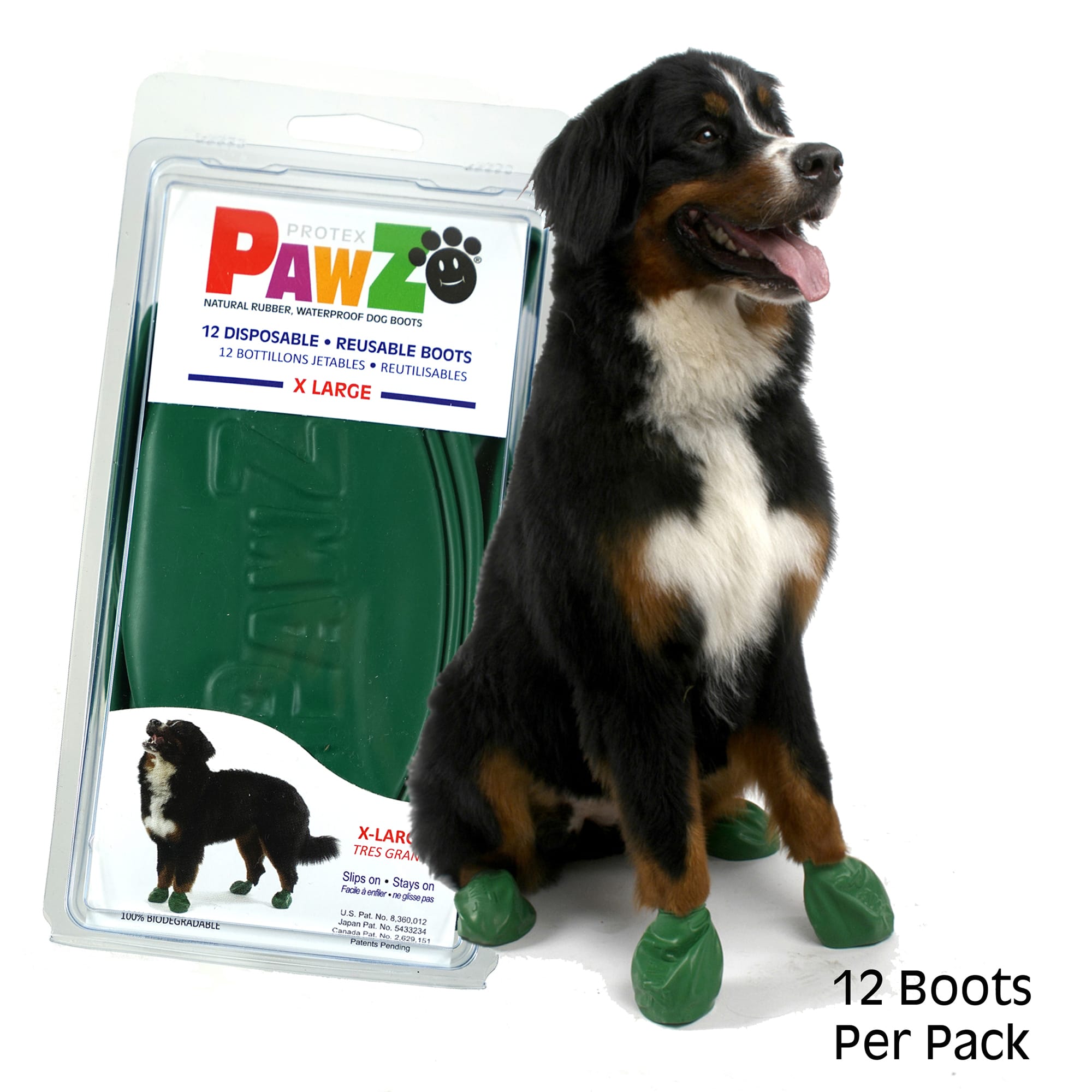 dog boots in store