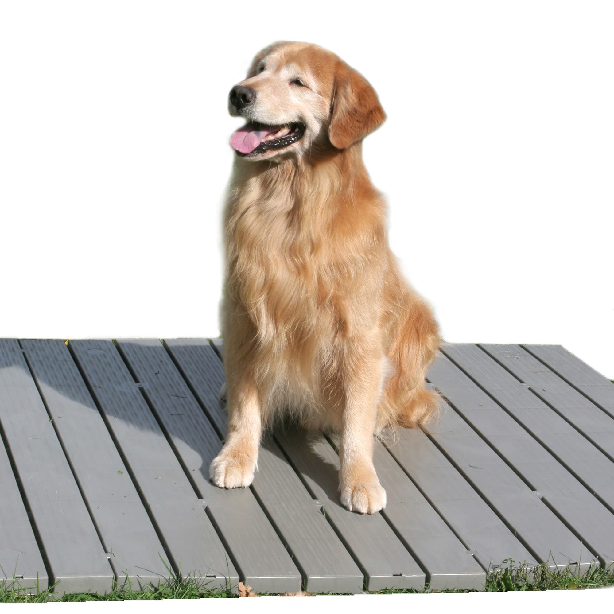 Dog shop kennel decking