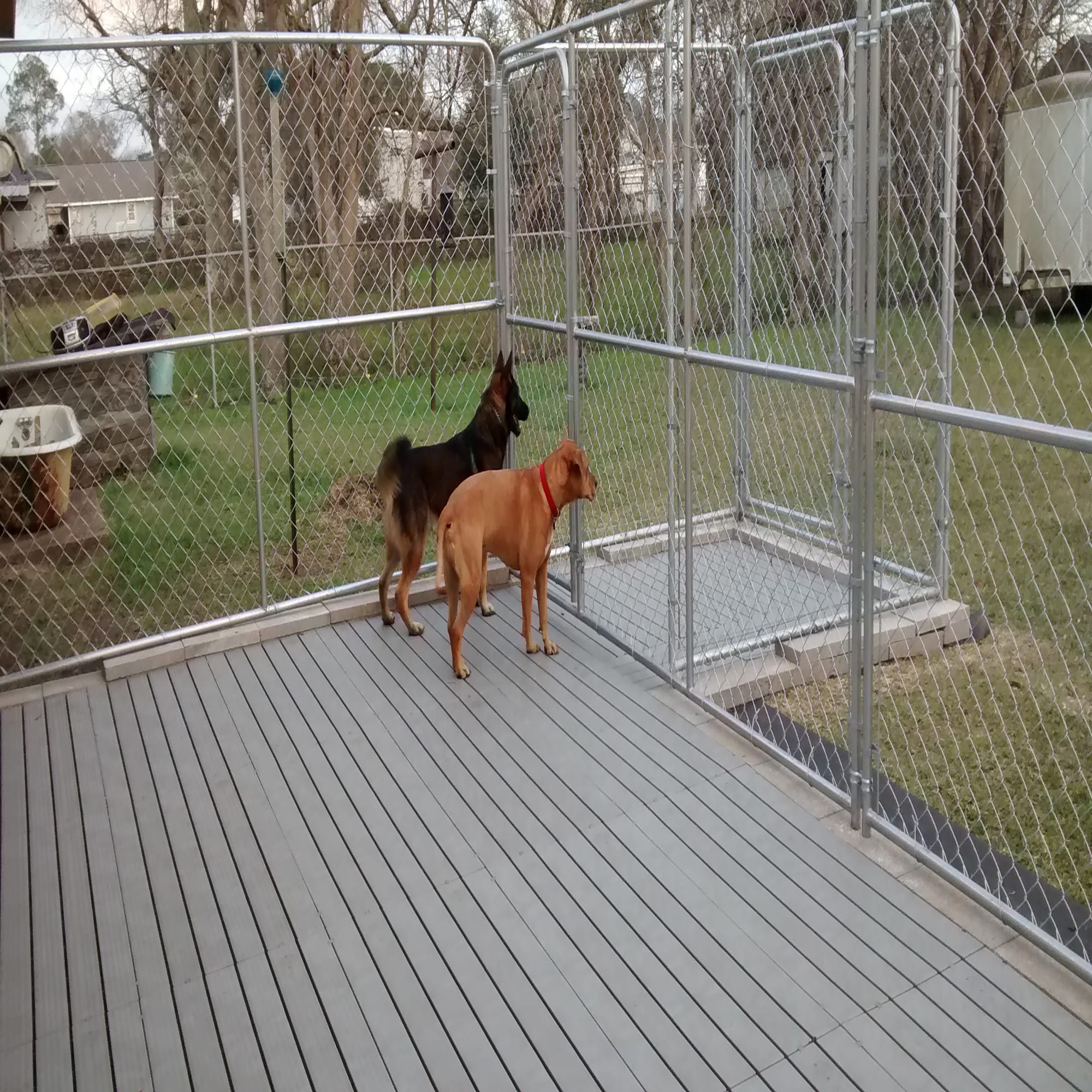 Dog shop kennel decking