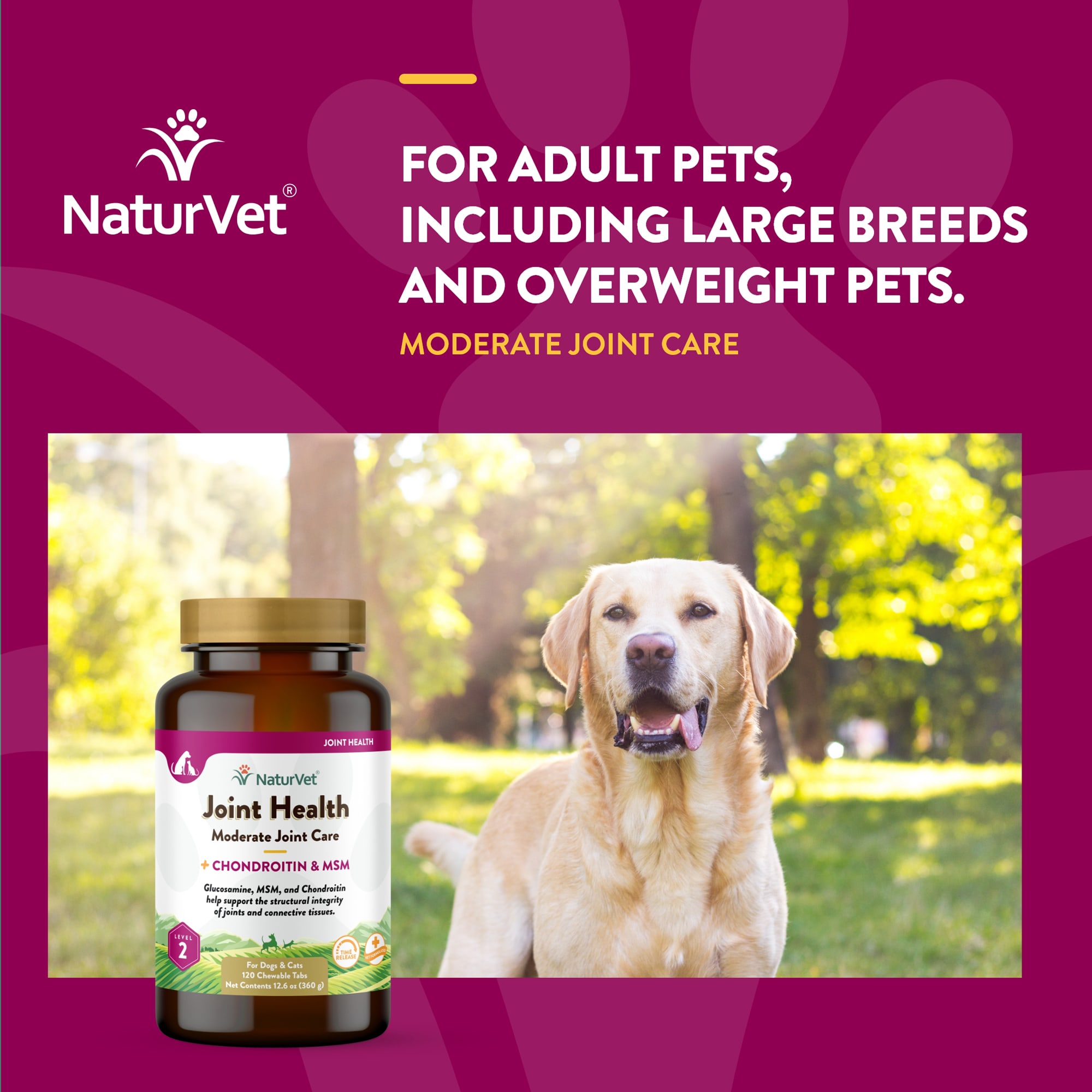 NaturVet Joint Health Time Release Level 2 Maximum Hip Joint Dog