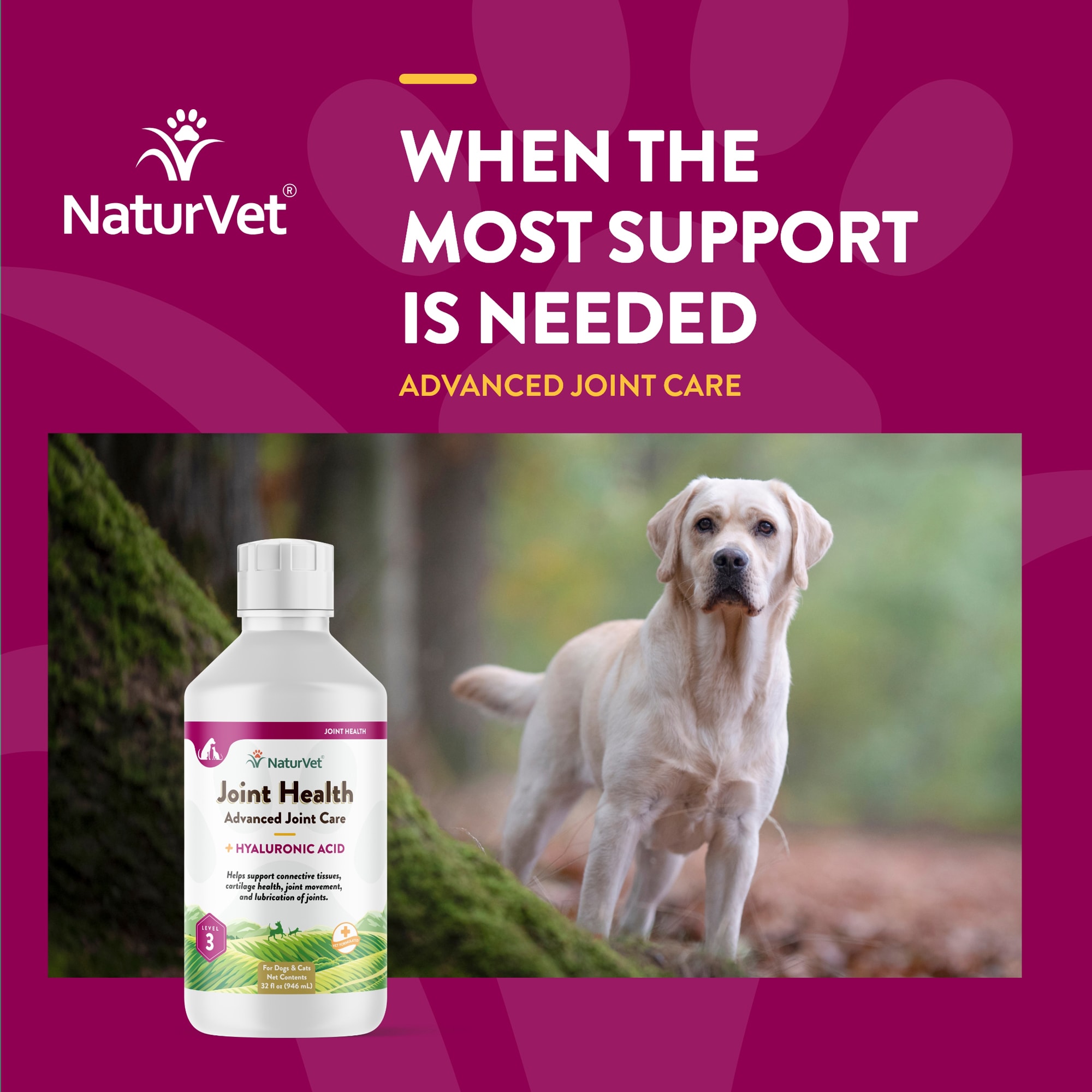 NaturVet Joint Health Supreme Level 3 Hip Joint Supplement for Dogs 32 fl. oz. Petco