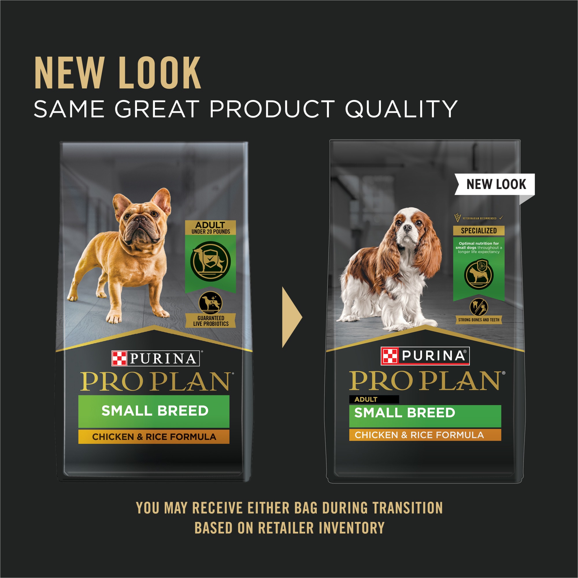 beef broth powder for cat food at walmart Open Farm Grass-Fed Beef Bone Broth for Dogs 12oz main image 0