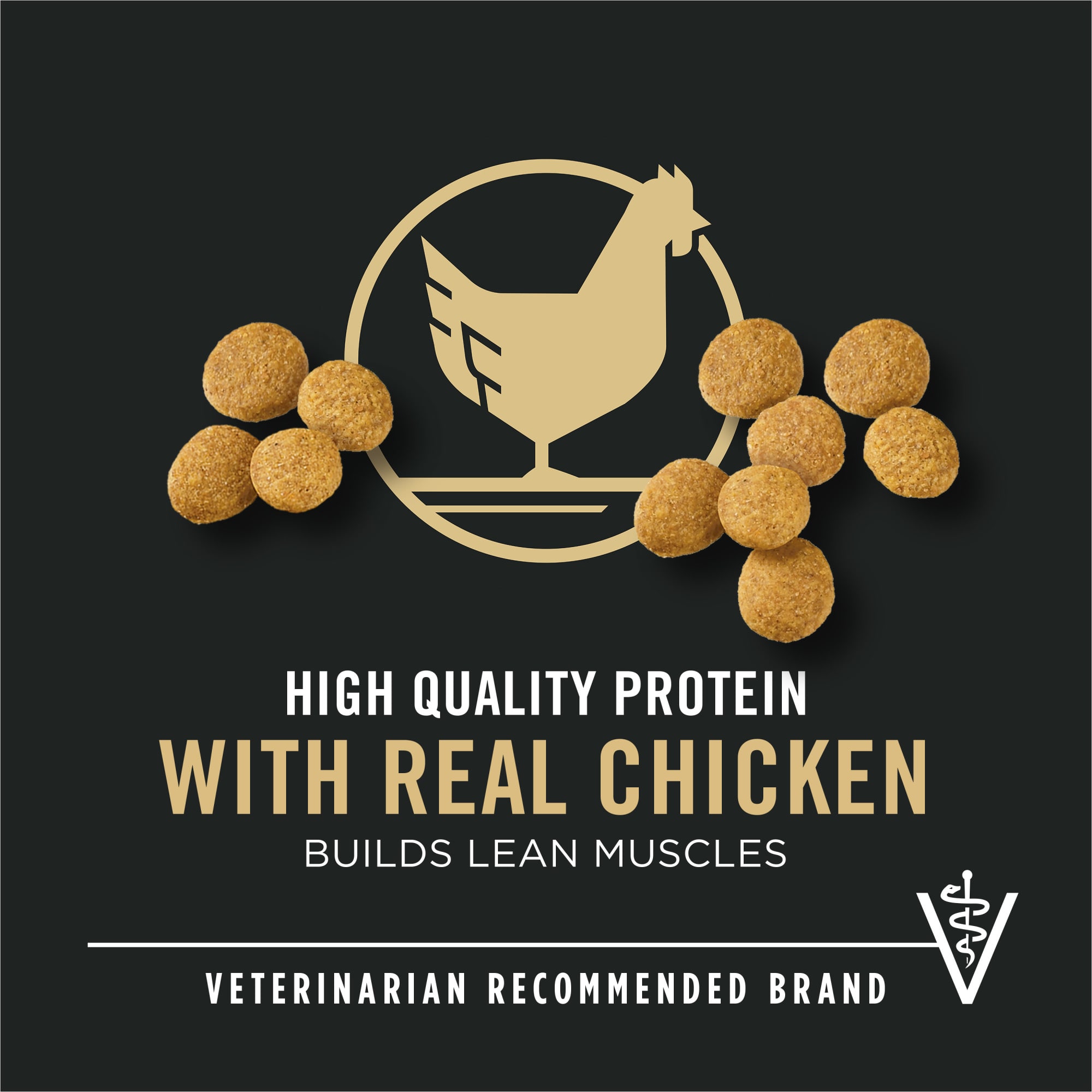 Purina Pro Plan Focus Large Breed Chicken & Rice Formula ...