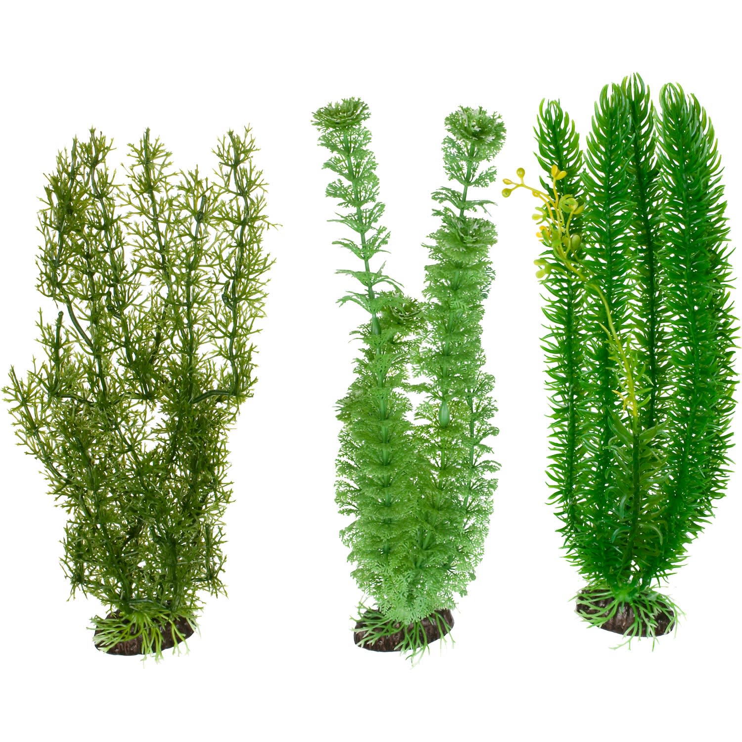 Plastic shop aquarium plants